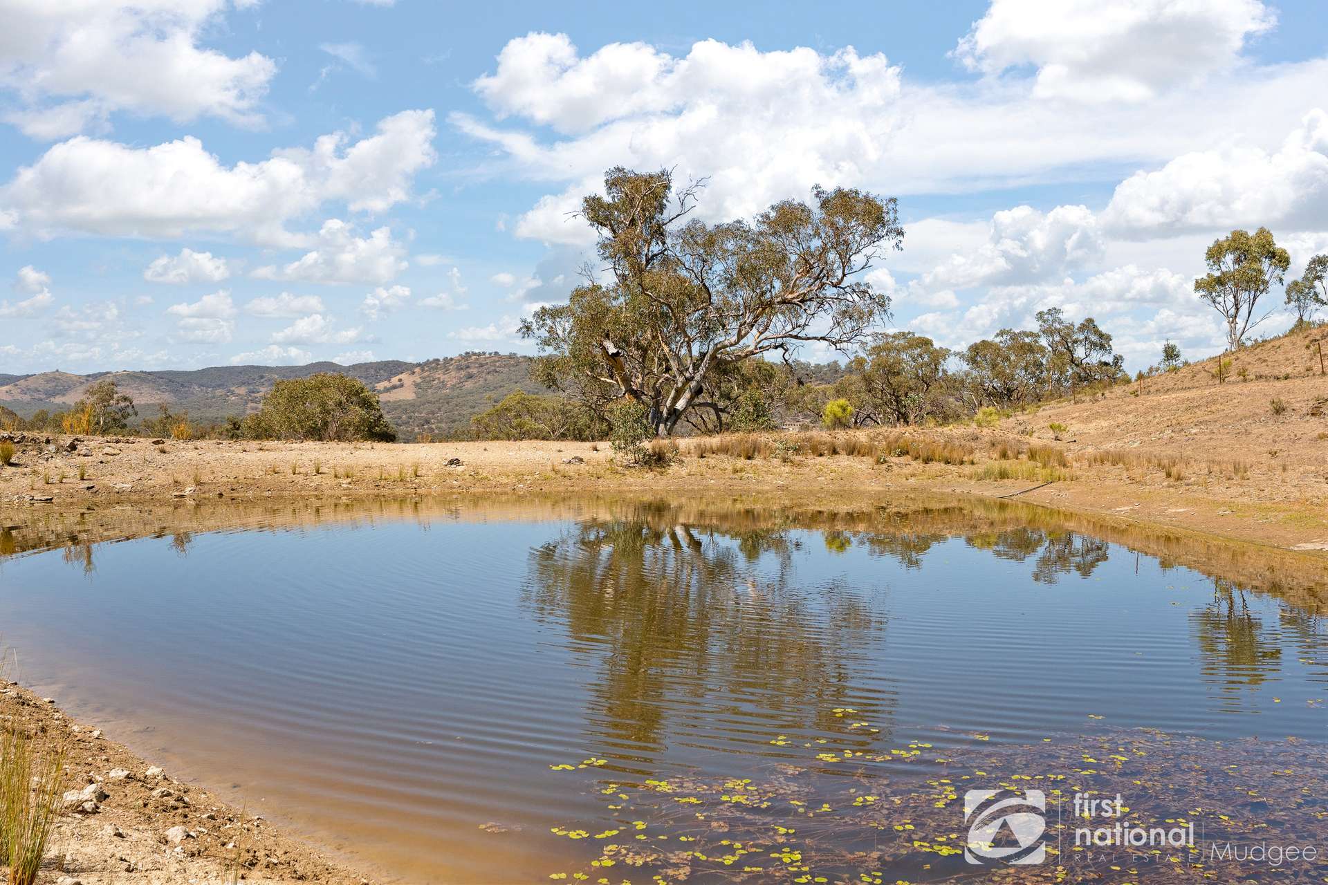 1453 Windeyer Road, Mudgee For Sale by Farmbuy.com - image 3