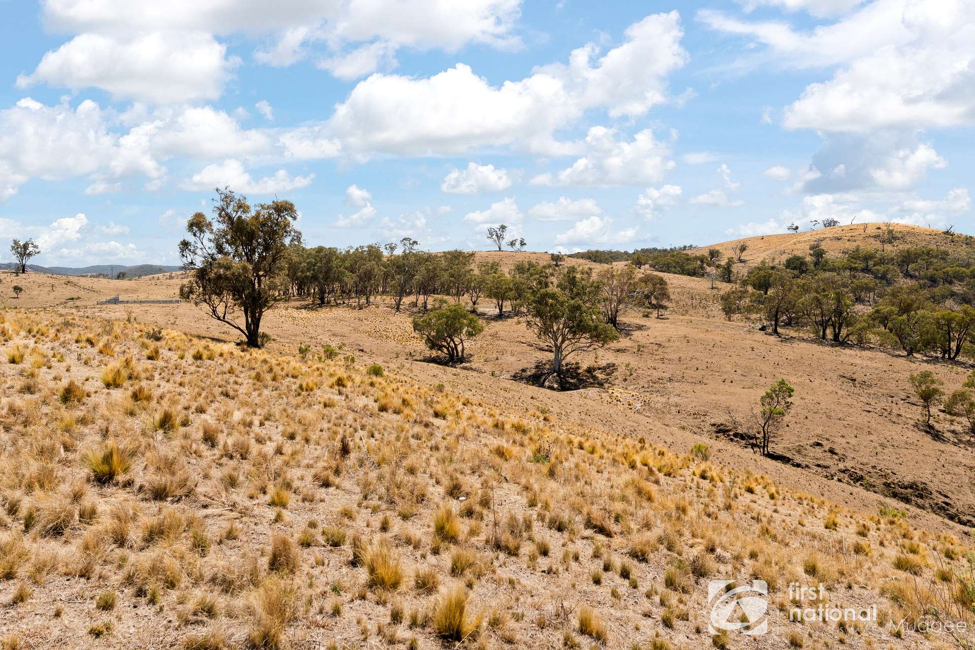 1453 Windeyer Road, Mudgee For Sale by Farmbuy.com - image 15