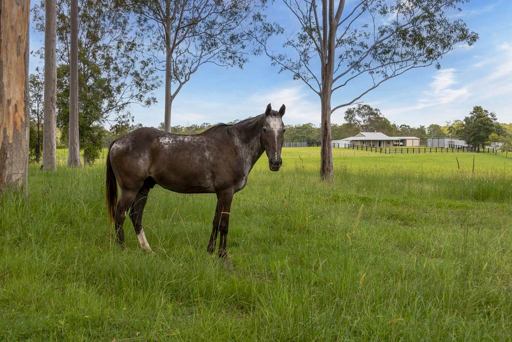 240 Keefton Road, Woondum QLD 4570