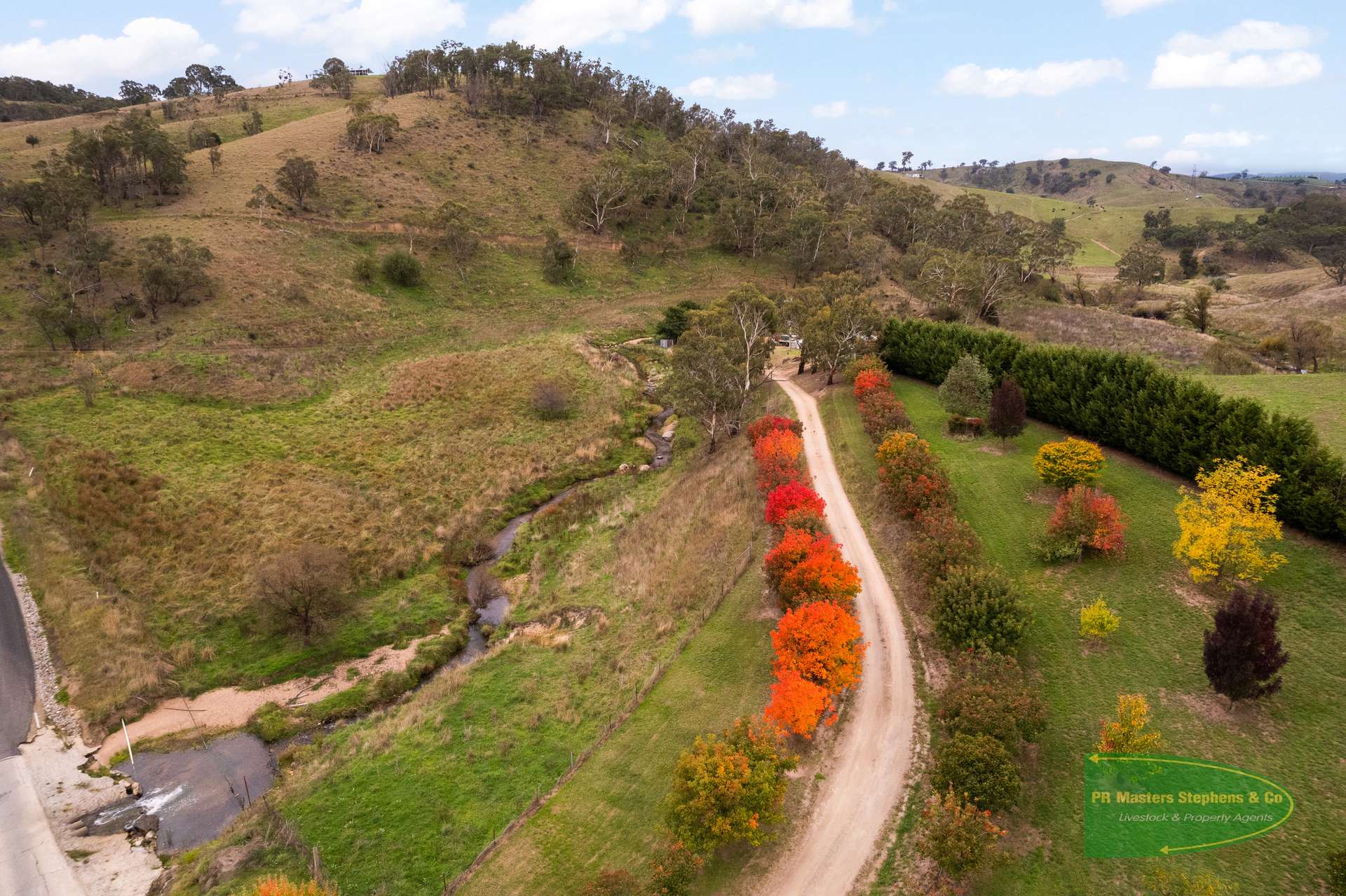 Ganbenang Sold by Farmbuy.com - image 17