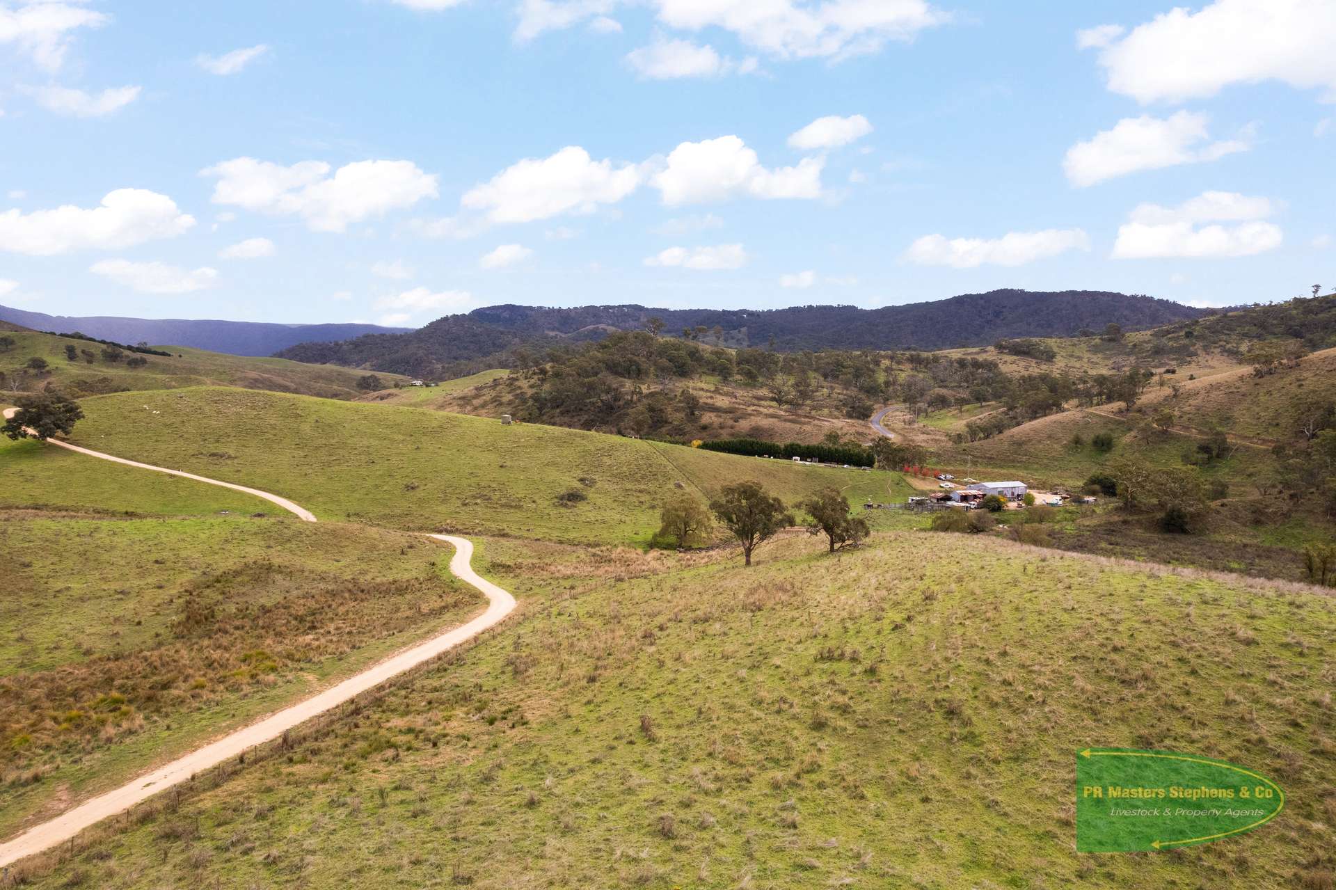 Ganbenang Sold by Farmbuy.com - image 10