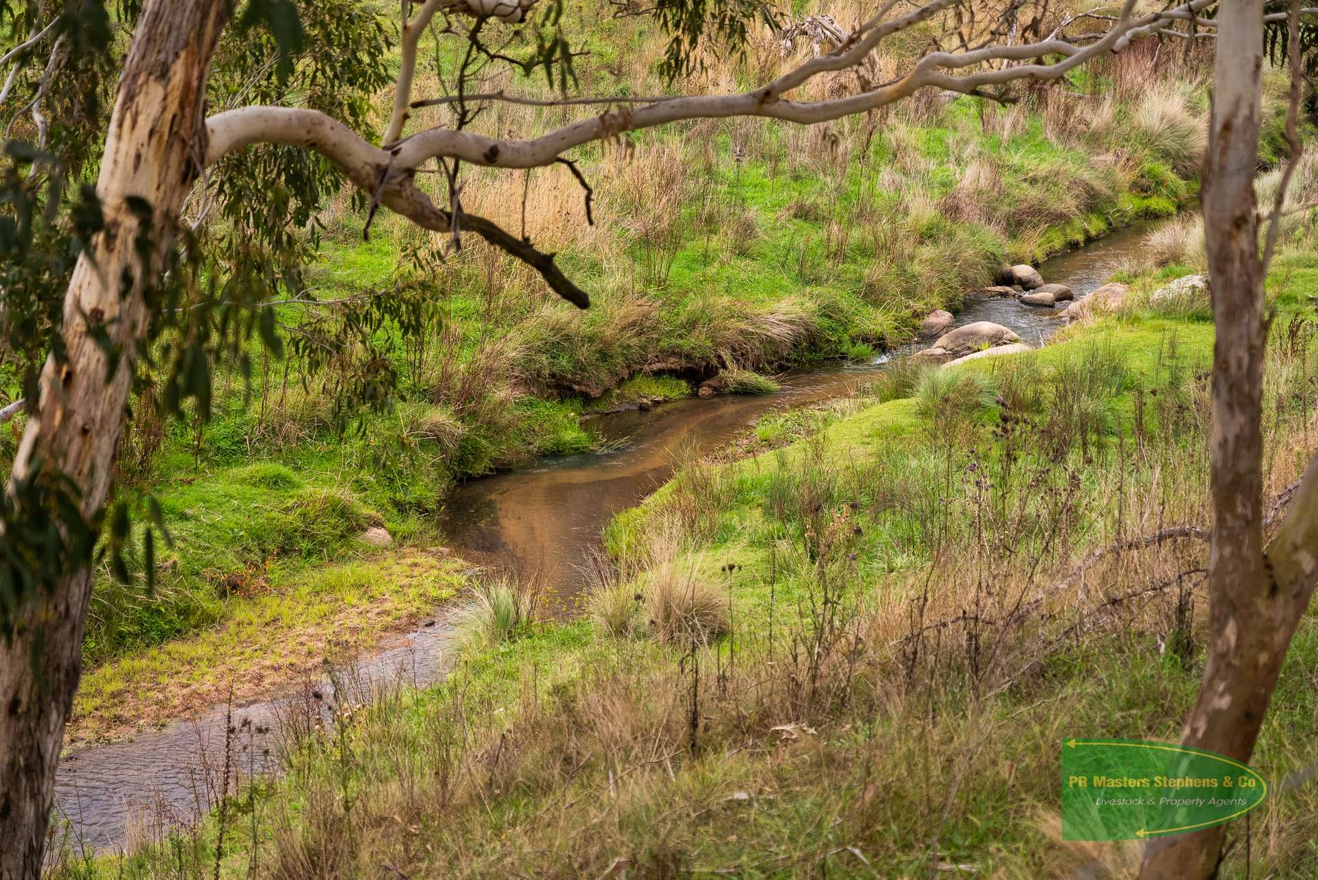 Ganbenang Sold by Farmbuy.com - image 5