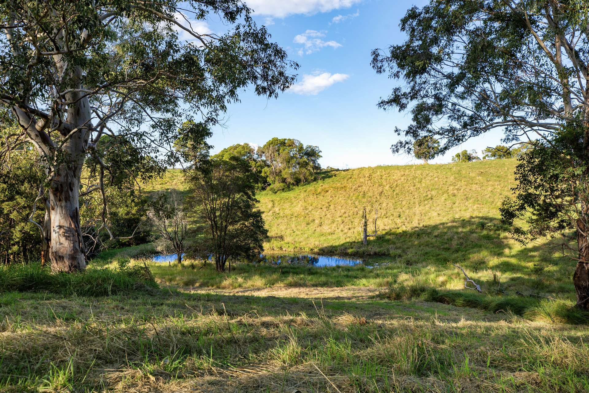 Lake Macdonald For Sale by Farmbuy.com - image 7