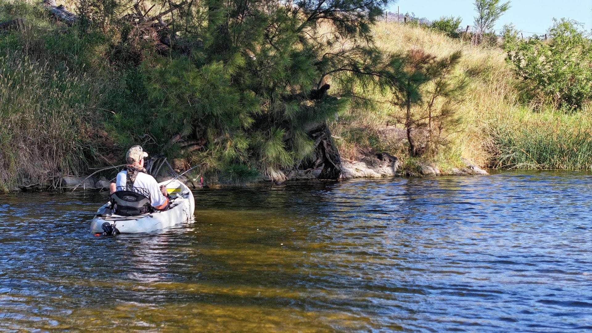 643 Silvermines Road, Inverell Sold by Farmbuy.com - image 6