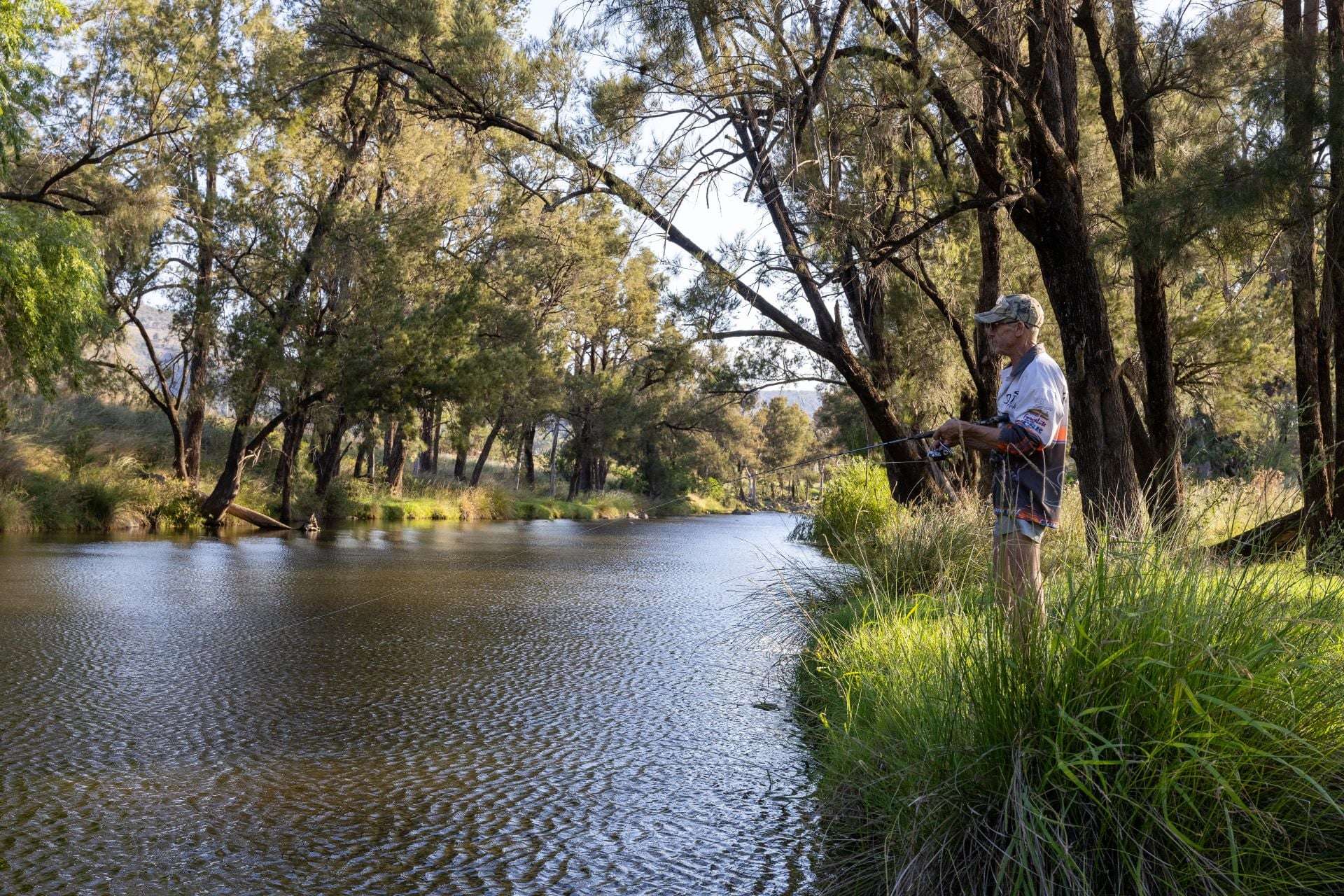643 Silvermines Road, Inverell Sold by Farmbuy.com - image 3