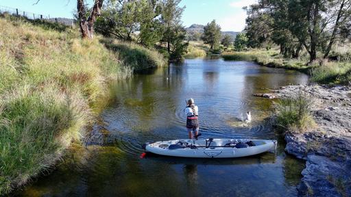 Farm Sold - NSW - Inverell - 2360 - Grazing Property with River Frontage 