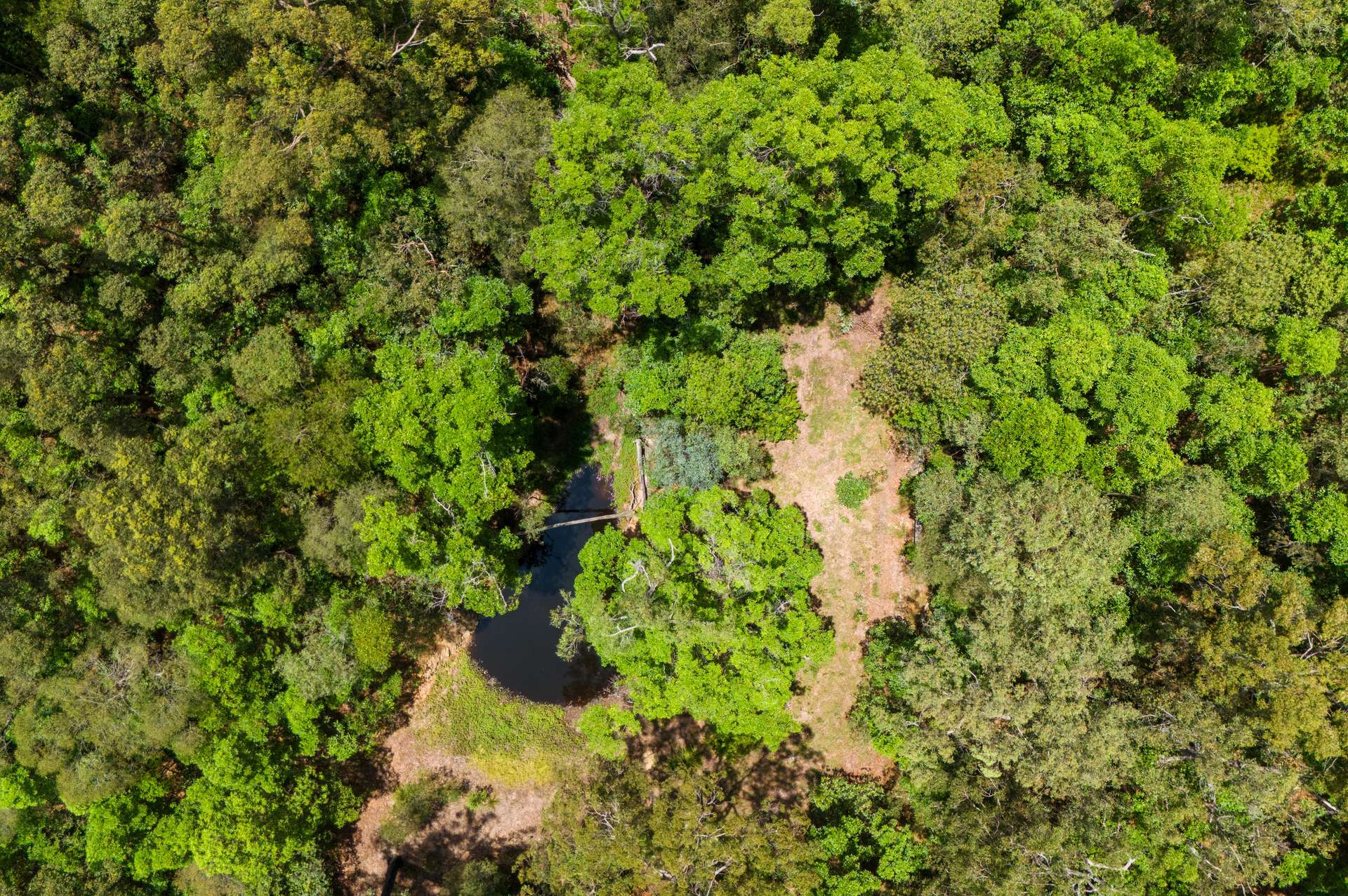 165 Woodward Road, Armstrong Creek For Sale by Farmbuy.com - image 7