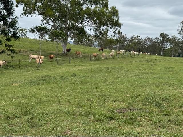 142 PERRY RIVER FARMS RD, Morganville For Sale by Farmbuy.com - image 15