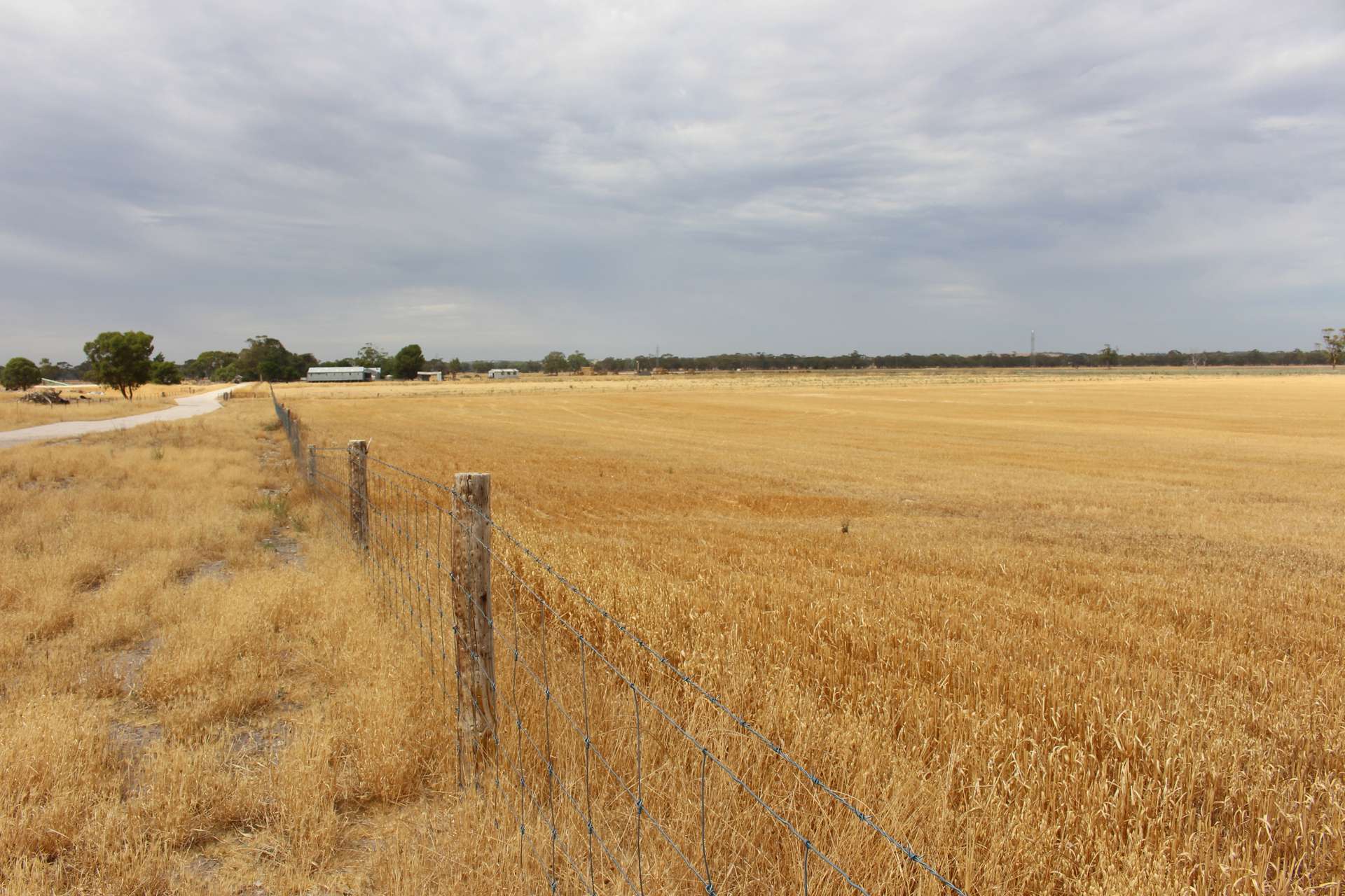 2212 CAREW ROAD, Mundulla Auction by Farmbuy.com - image 9