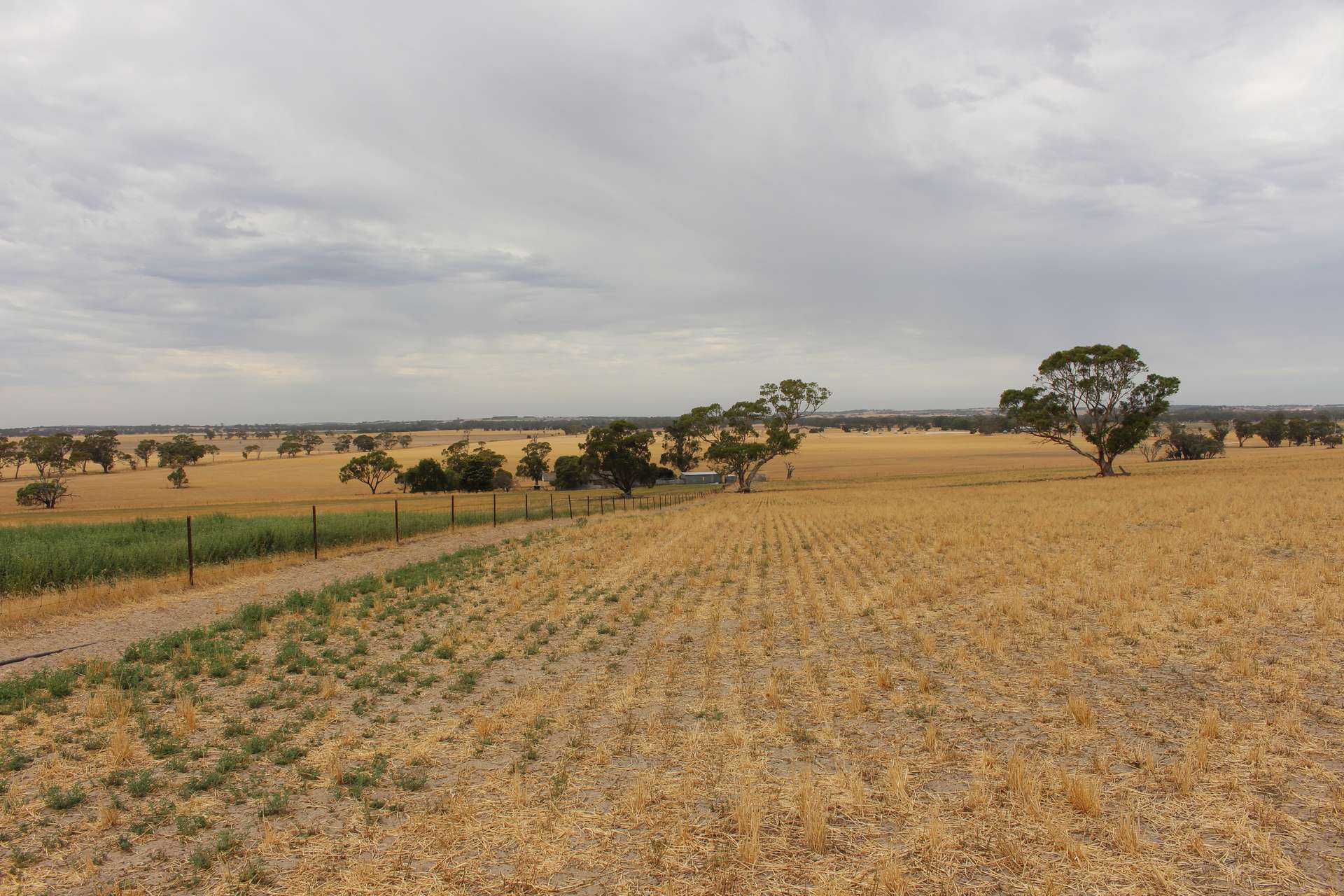 2212 CAREW ROAD, Mundulla Auction by Farmbuy.com - image 22