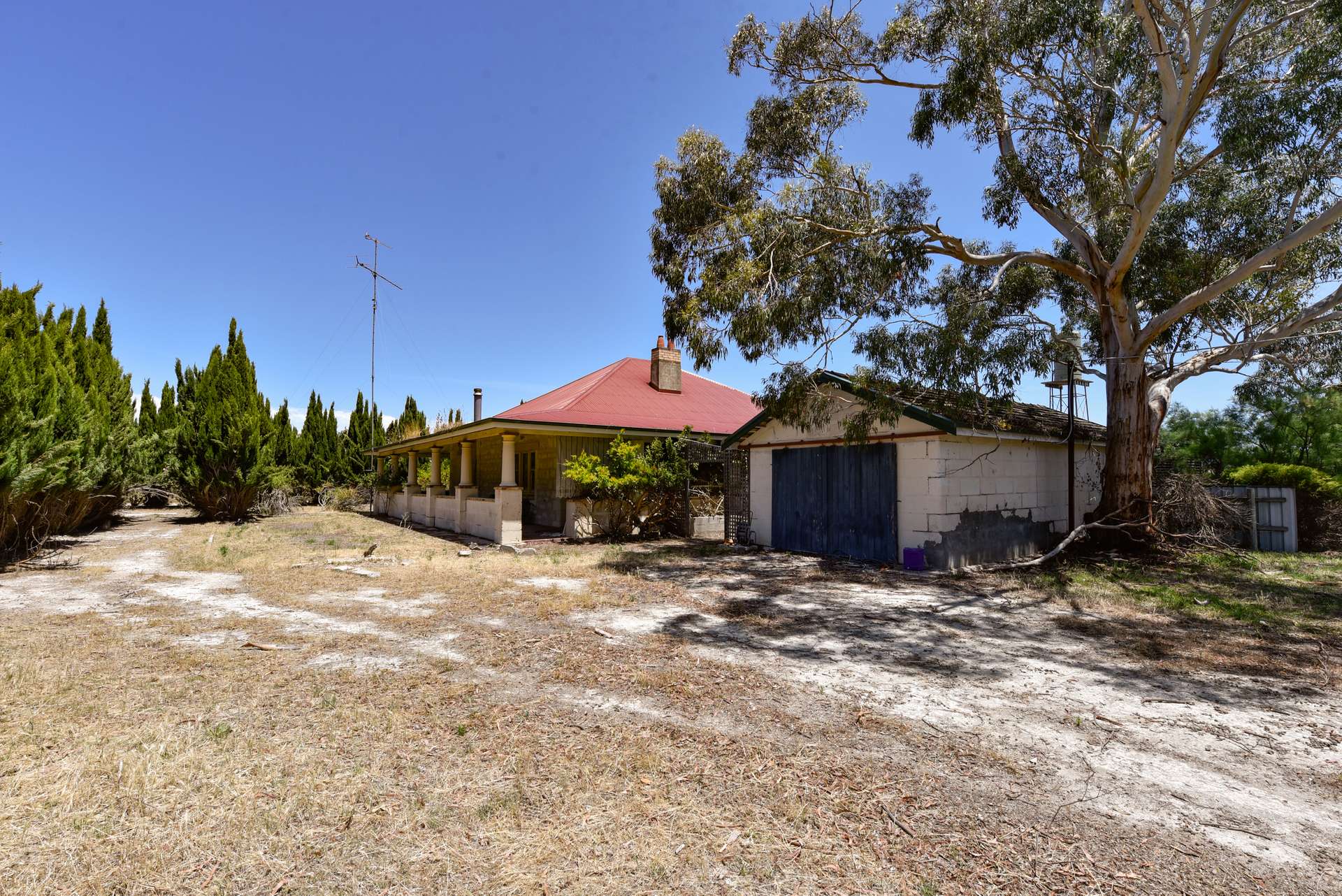 2212 CAREW ROAD, Mundulla Auction by Farmbuy.com - image 13