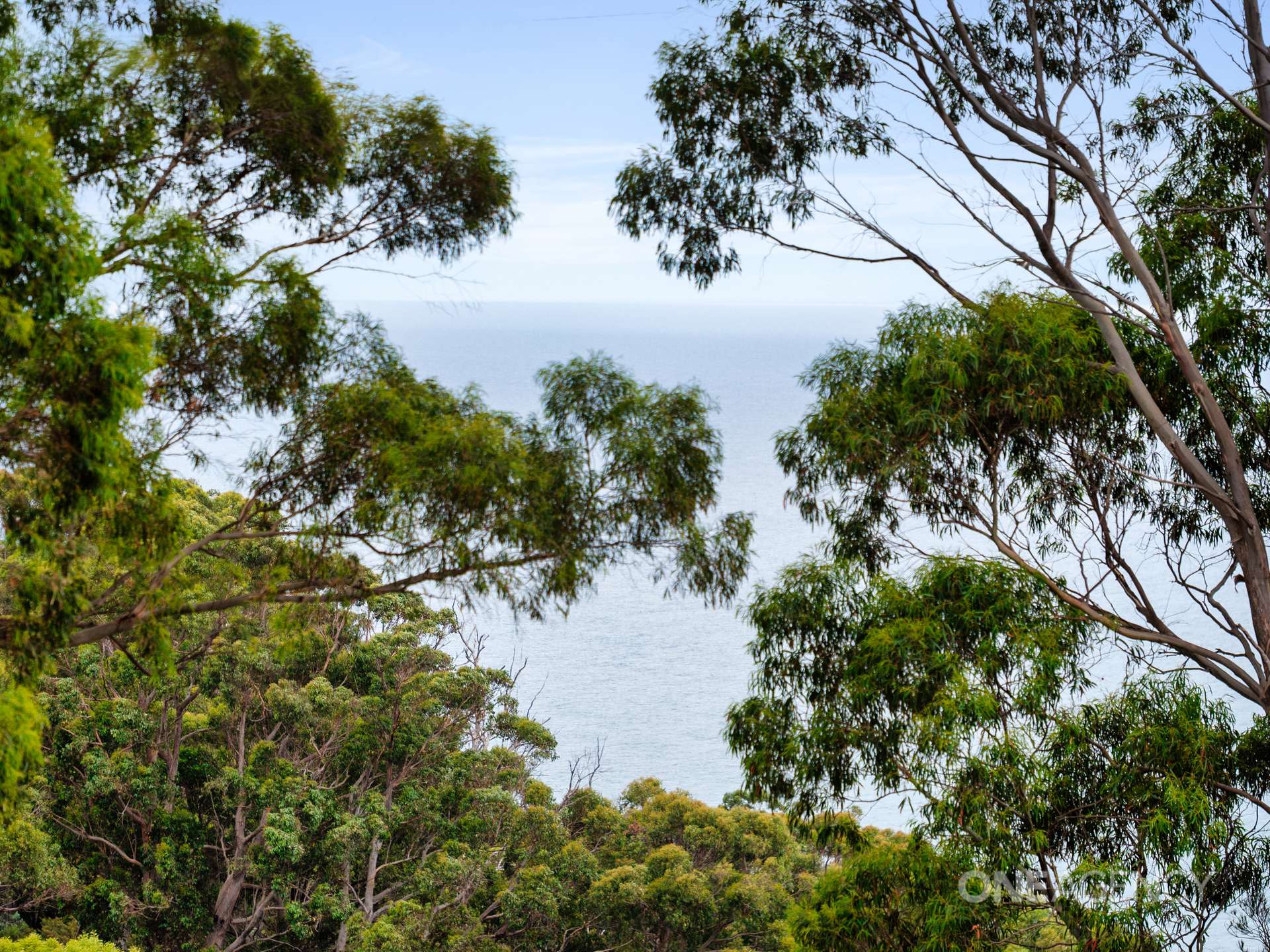 64 Linton Avenue, Heybridge For Sale by Farmbuy.com - image 8