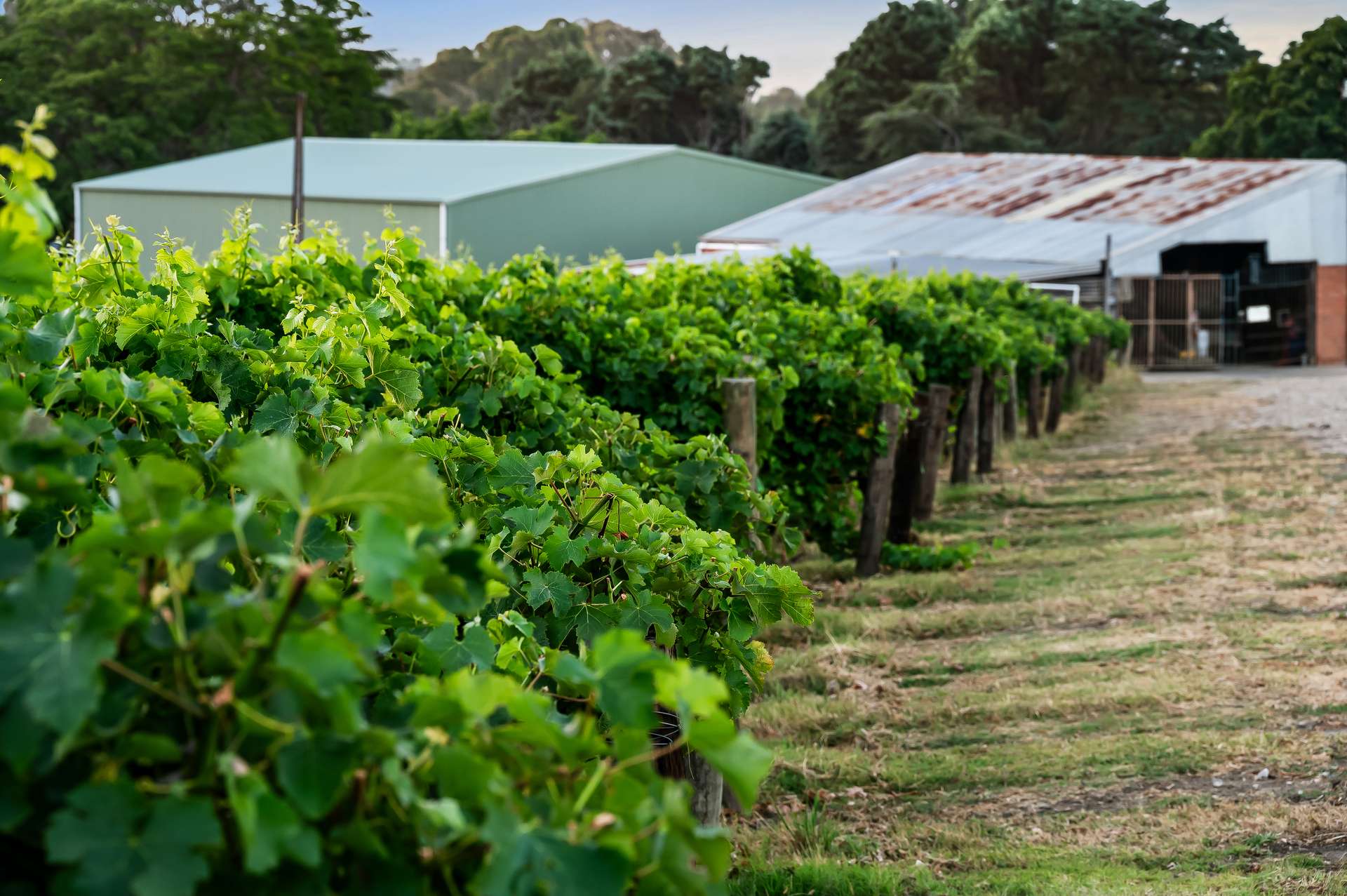 18 Mattners Road, Balhannah For Sale by Farmbuy.com - image 33