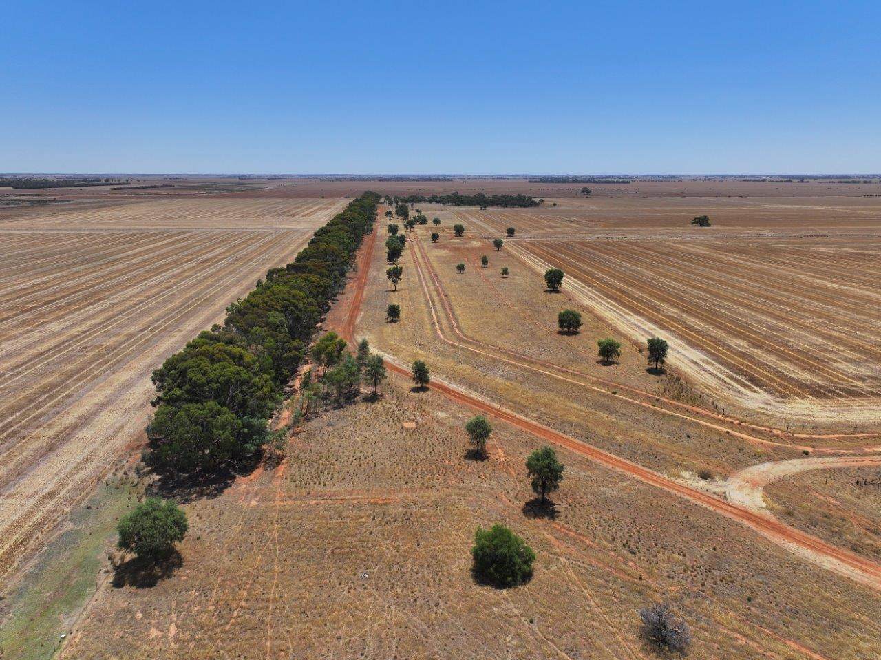 997 Mologa-Durham Ox Road, Yarrawalla For Sale by Farmbuy.com - image 23