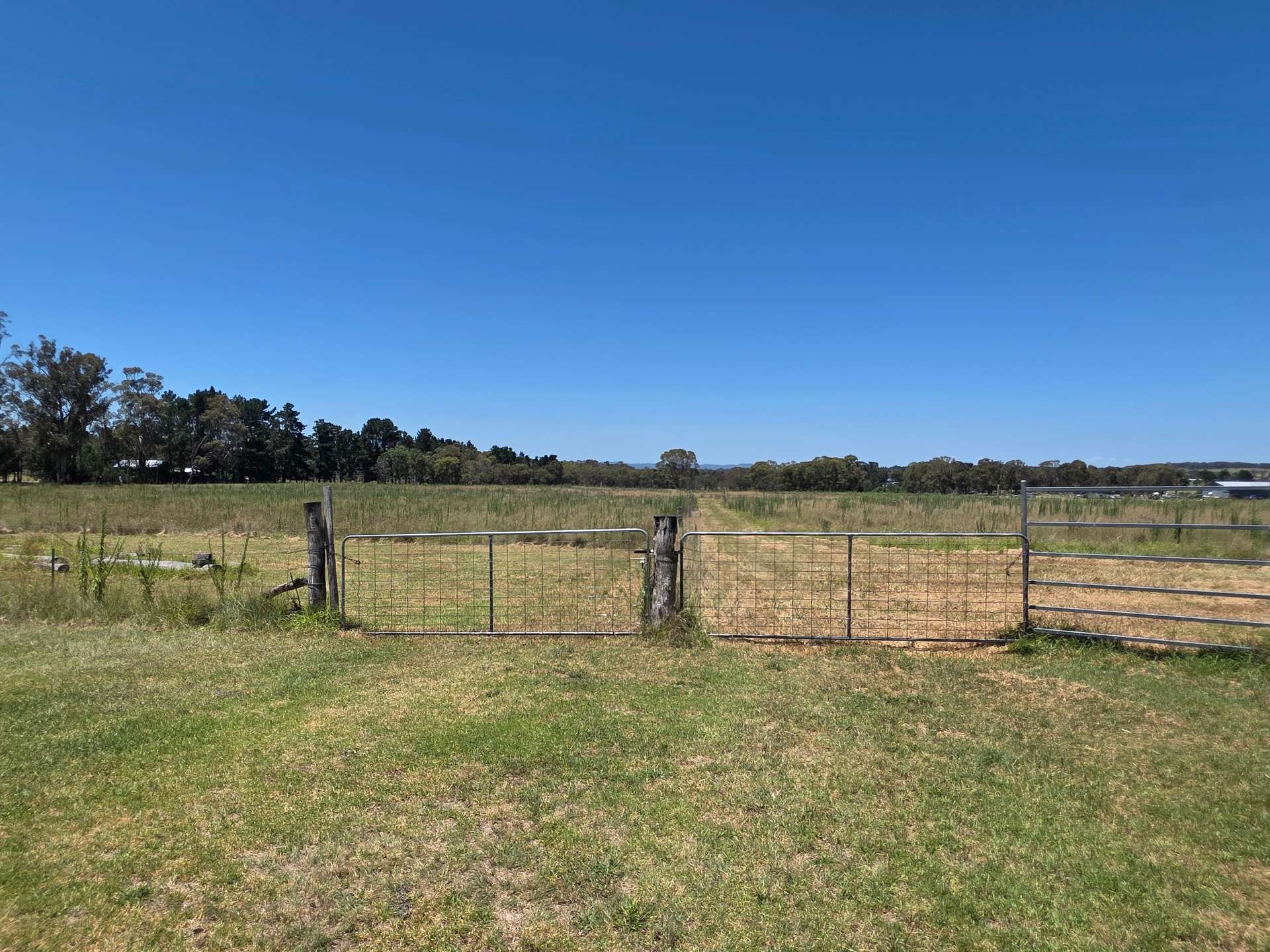 146 Ridge Road, Glen Niven For Sale by Farmbuy.com - image 24