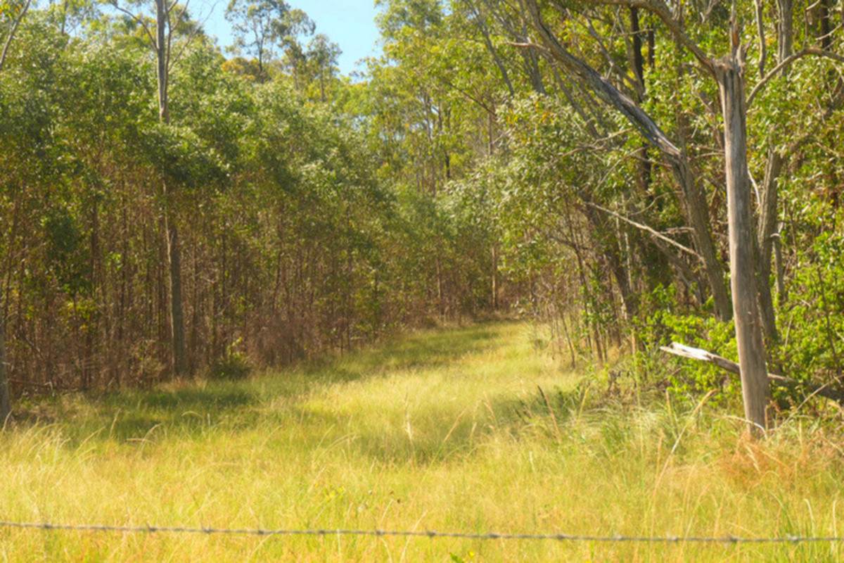 Bulldog For Sale by Farmbuy.com - image 11