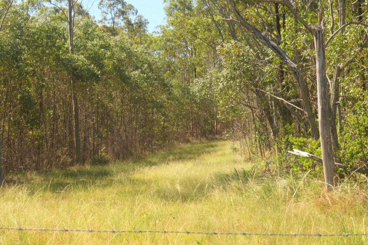 Bulldog For Sale by Farmbuy.com - image 7