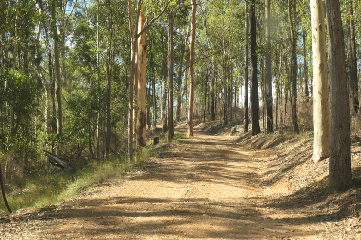 Bulldog For Sale by Farmbuy.com - image 14