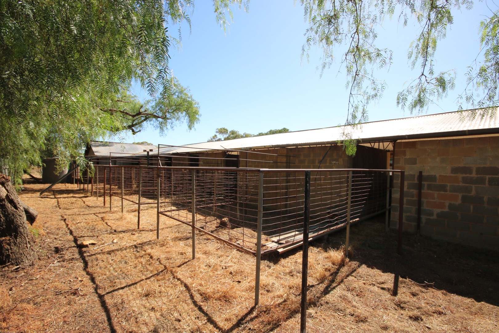 13-15 Park Road, Elmore For Sale by Farmbuy.com - image 24
