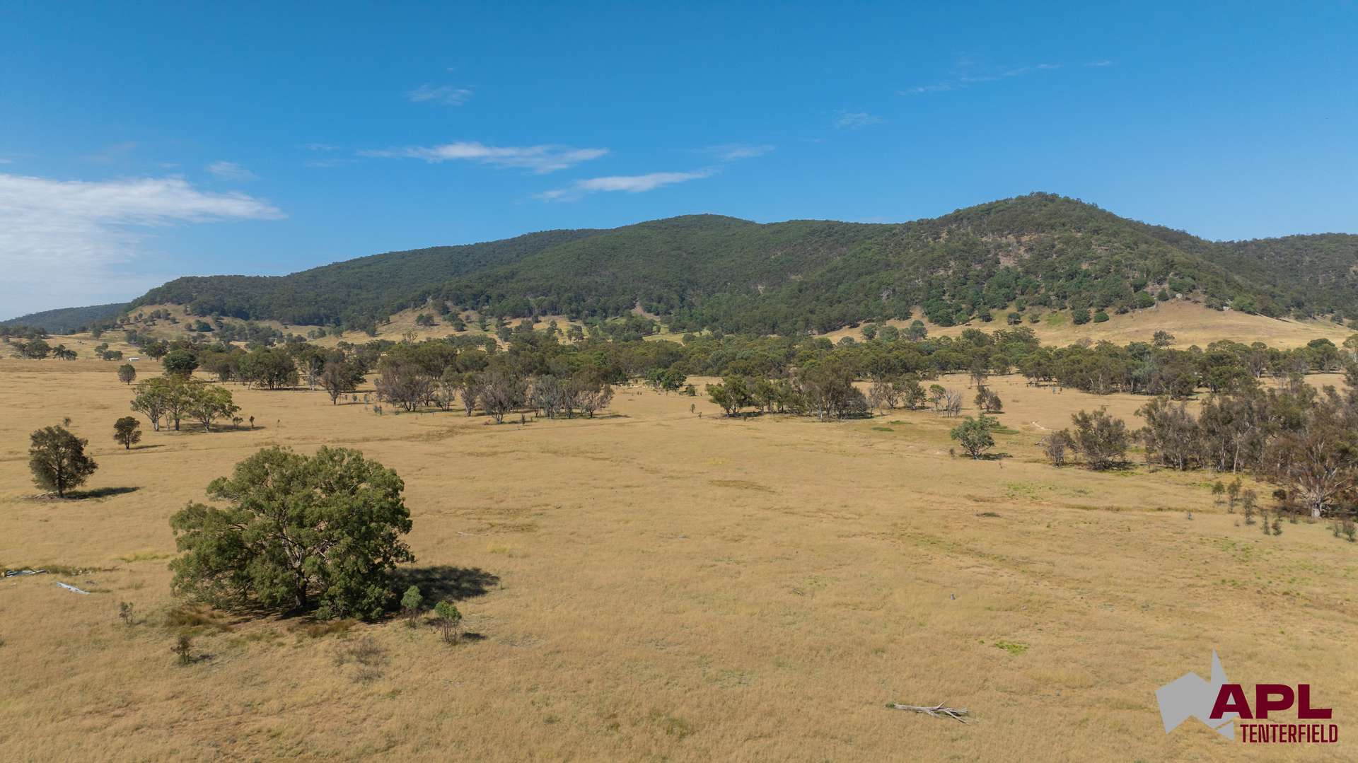 1696 And 1799 New England Highway, Jennings Auction by Farmbuy.com - image 13