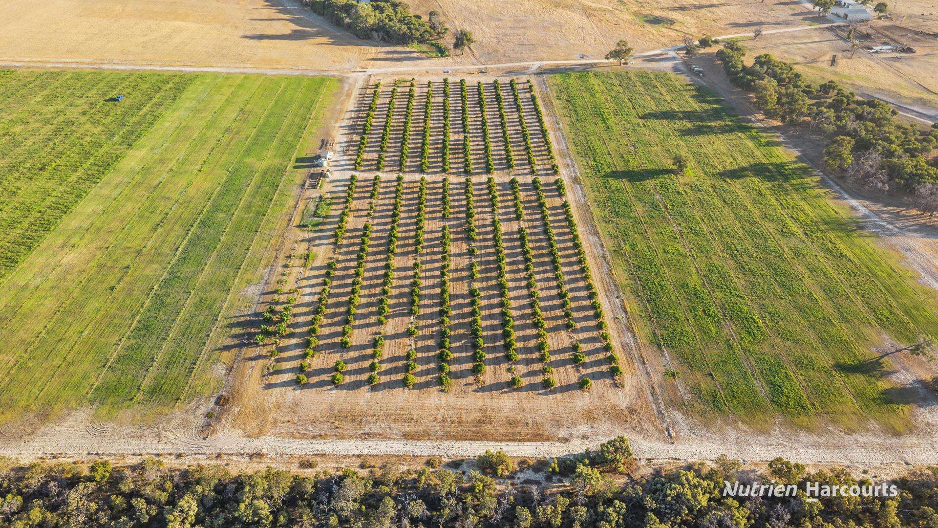 1770 Beermullah Road West, Gingin For Sale by Farmbuy.com - image 11