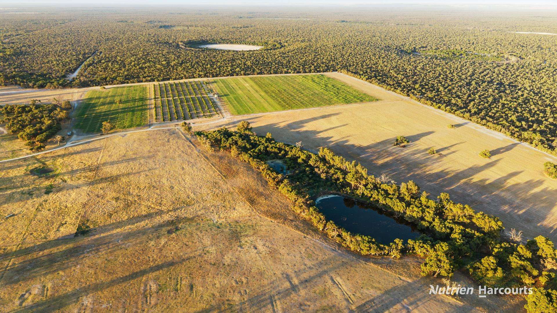 1770 Beermullah Road West, Gingin For Sale by Farmbuy.com - image 14