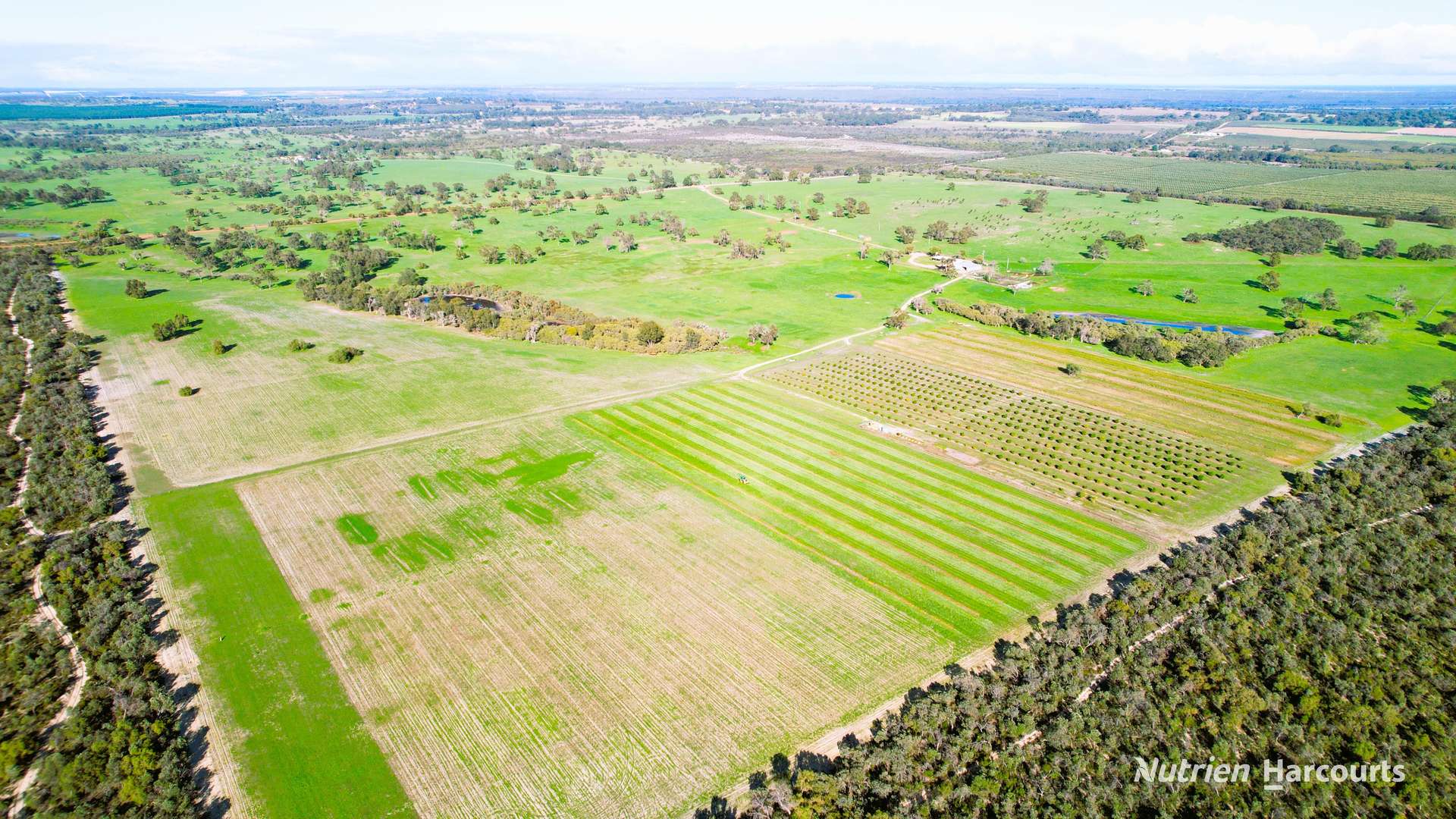 1770 Beermullah Road West, Gingin For Sale by Farmbuy.com - image 4