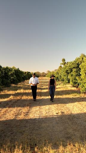 Farm For Sale - WA - Gingin - 6503 - 