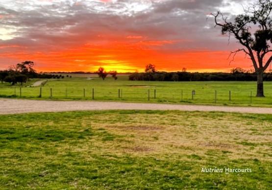 1770 Beermullah Road West, Gingin For Sale by Farmbuy.com - image 2