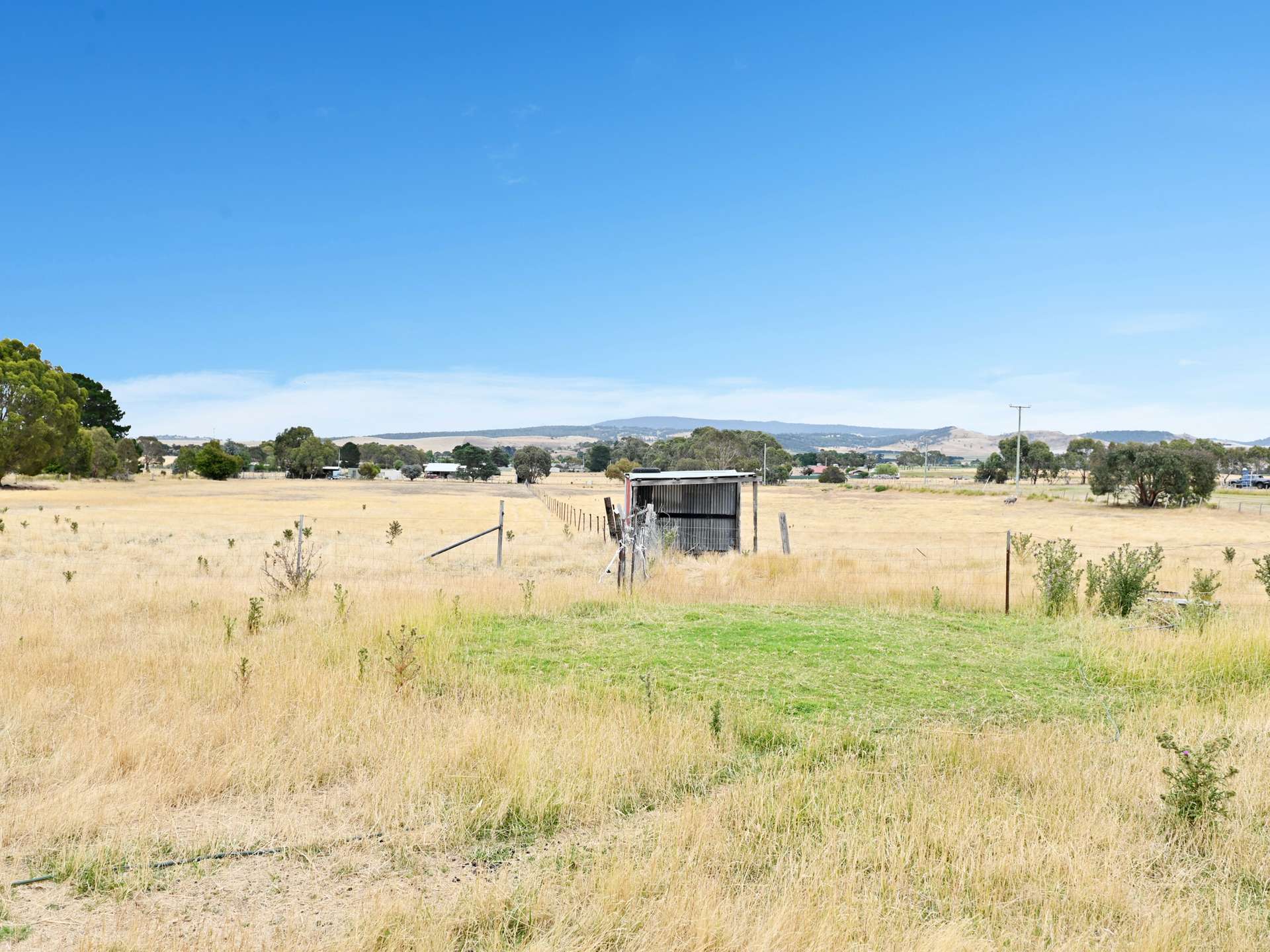 62 Patrick Street, Bothwell For Sale by Farmbuy.com - image 21