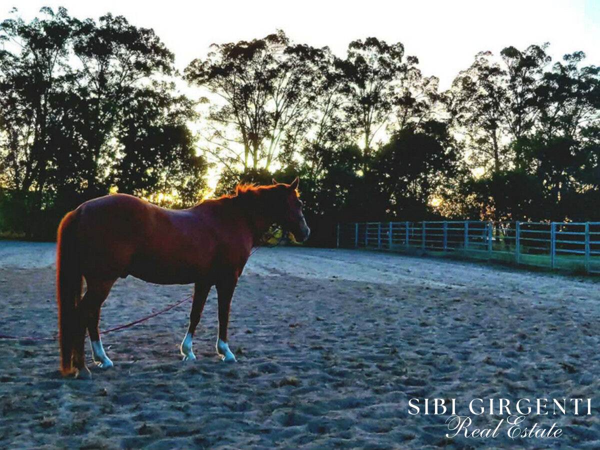 386 Koah Road, Koah For Sale by Farmbuy.com - image 27