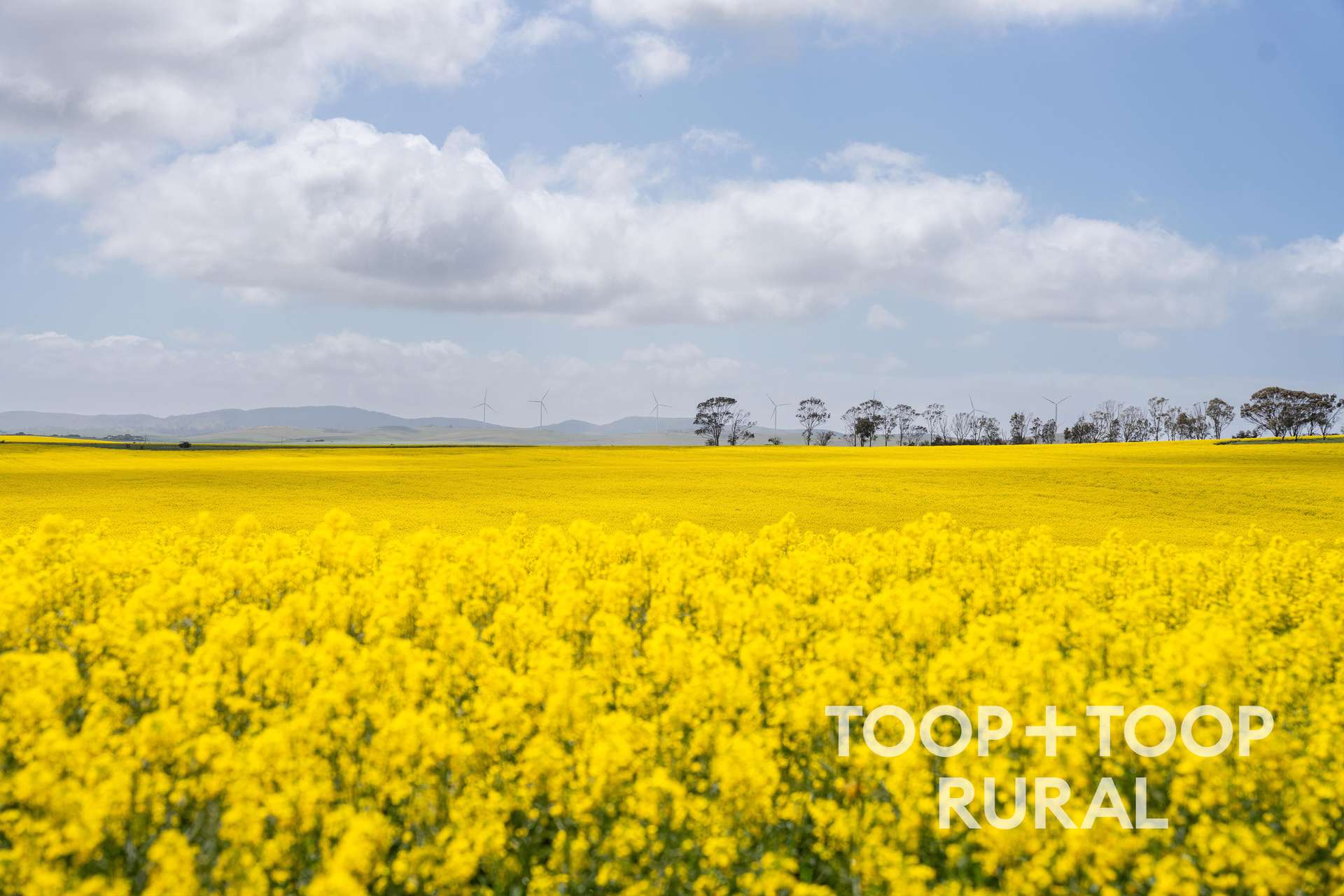 Hardings Road, Black Springs For Sale by Farmbuy.com - image 6