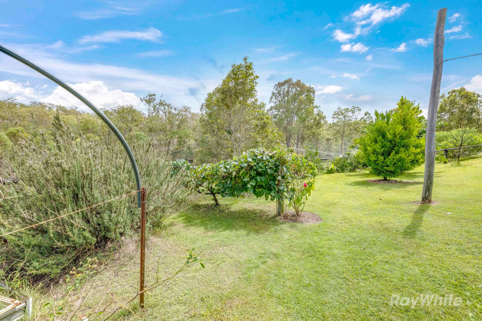 1300 Bania Road, Yarrol For Sale by Farmbuy.com - image 24