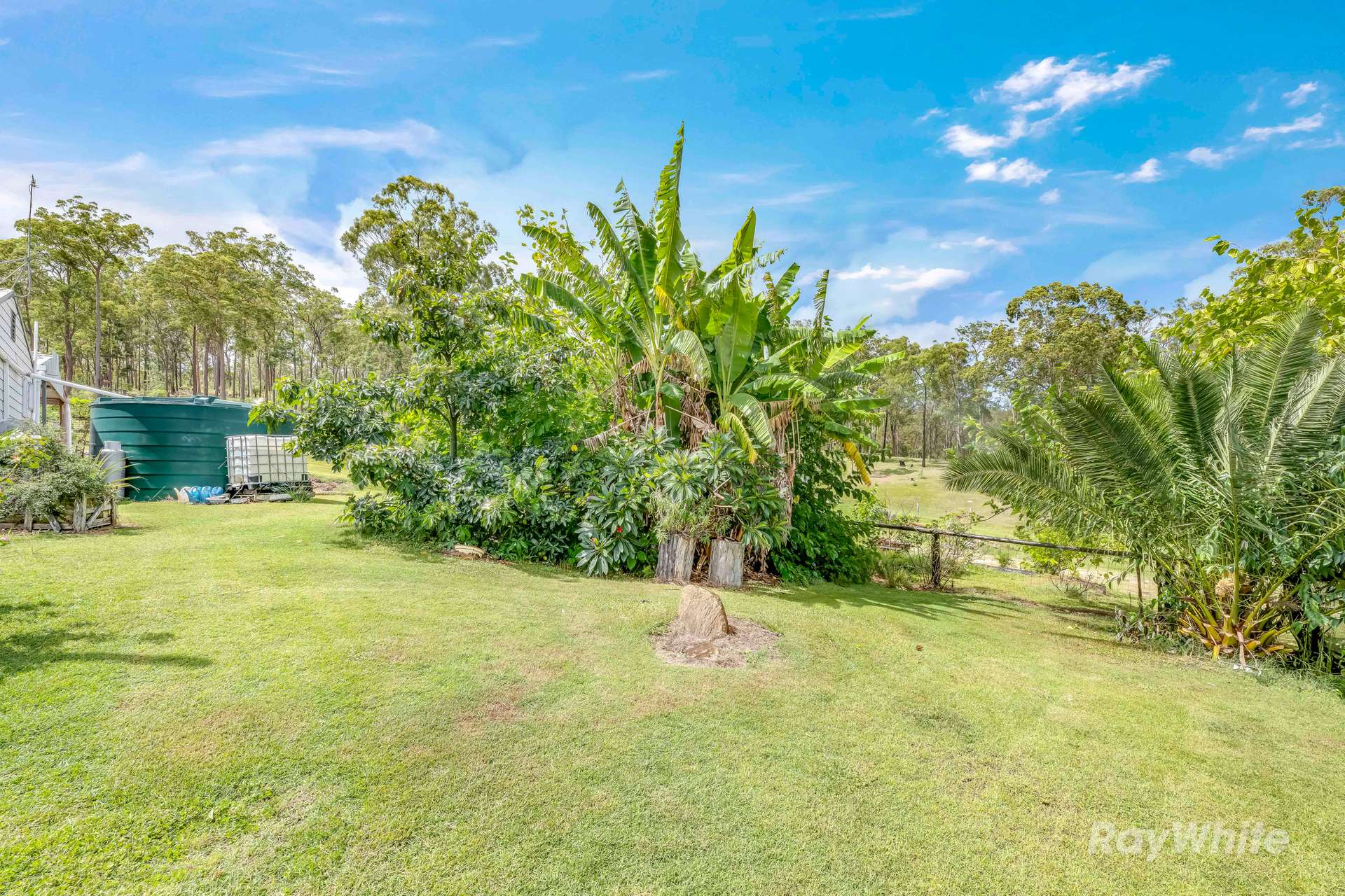 1300 Bania Road, Yarrol For Sale by Farmbuy.com - image 21