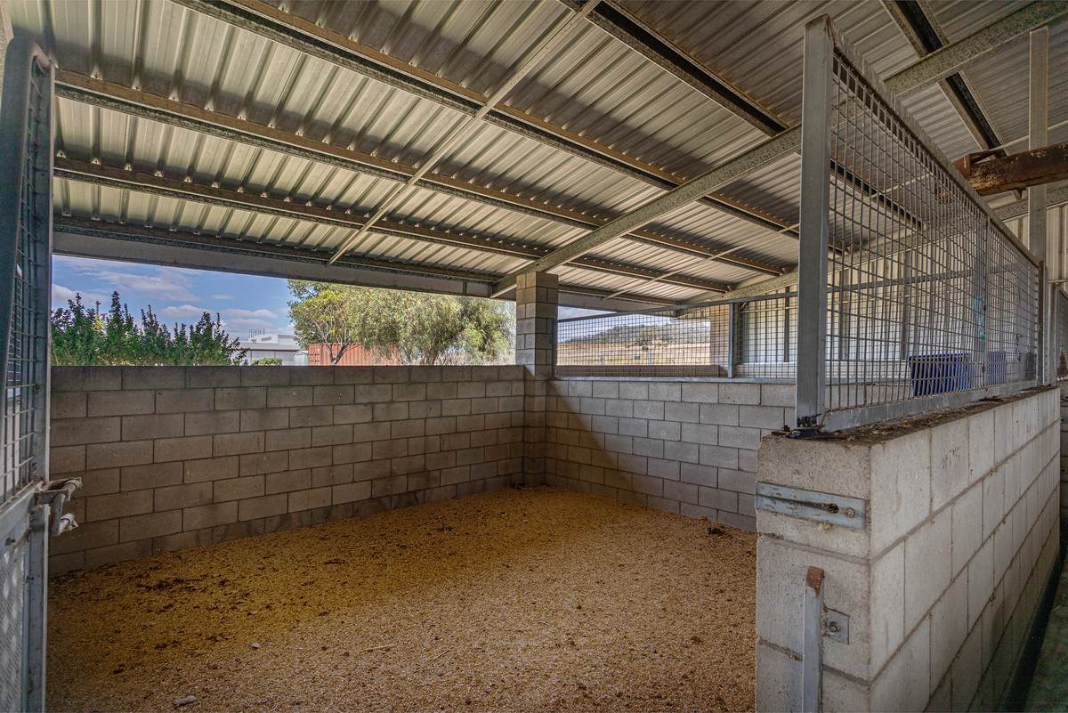 123 Steger Road, Charlton For Sale by Farmbuy.com - image 10