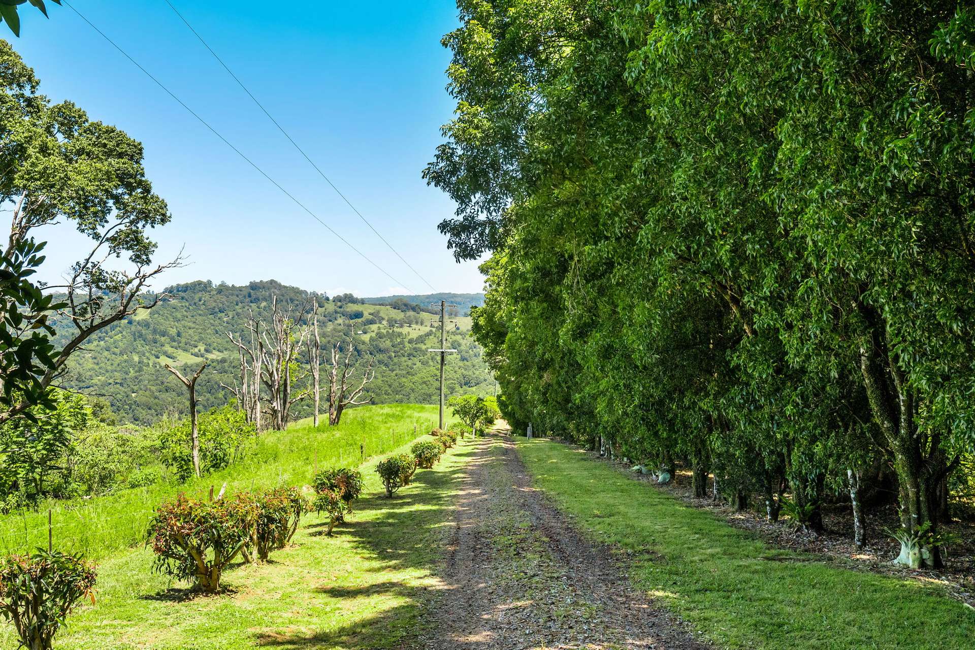 301 Wallace Road, The Channon Sold by Farmbuy.com - image 29