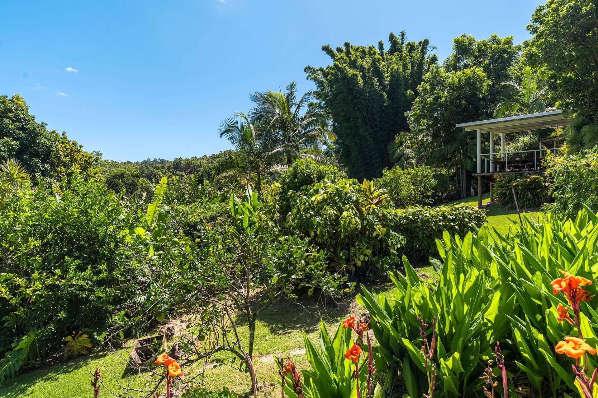 301 Wallace Road, The Channon Sold by Farmbuy.com - image 24