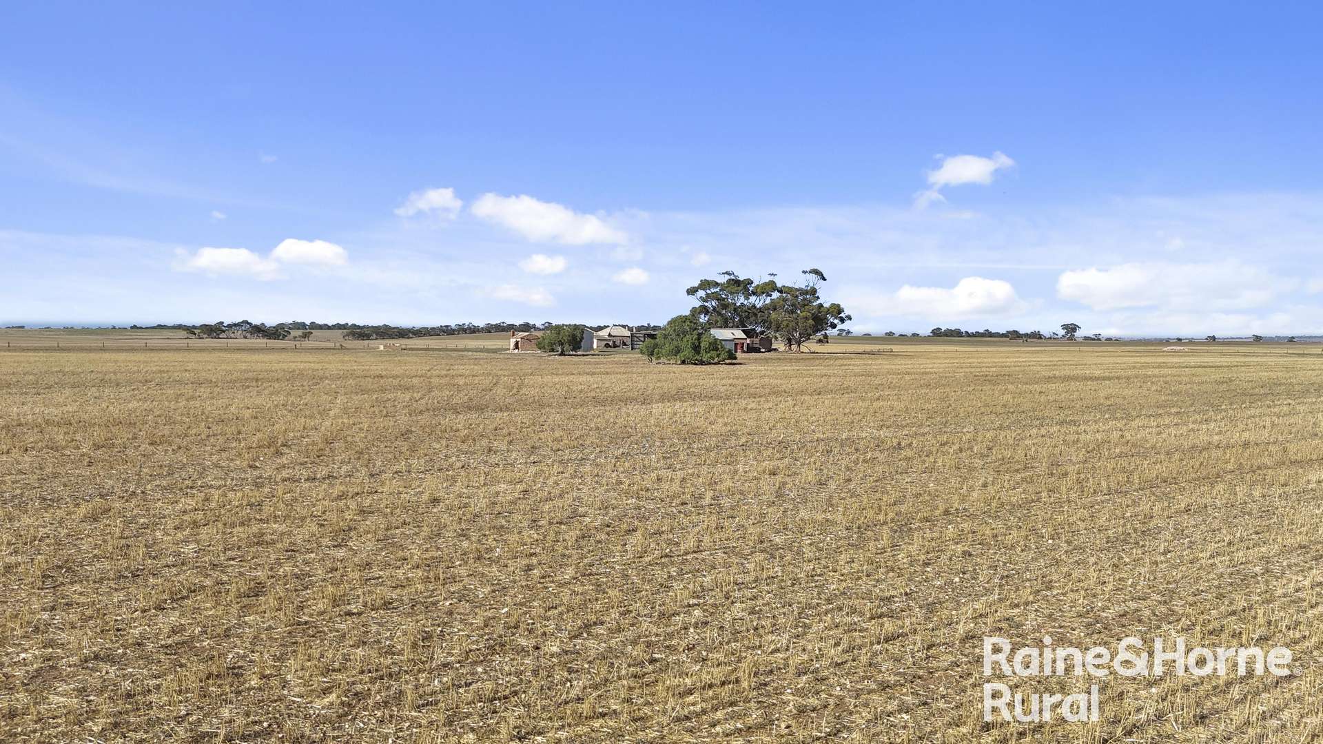 A50 Harvey Road, Woodchester For Sale by Farmbuy.com - image 17