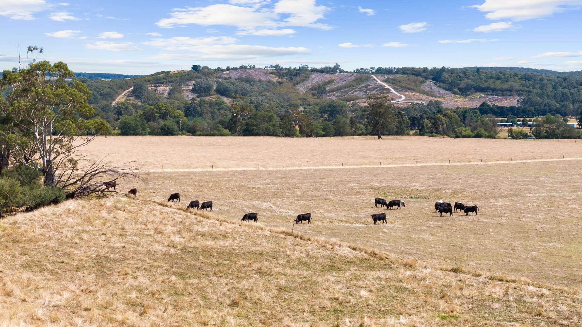 87 Christensens Road, Tyers For Sale by Farmbuy.com - image 6