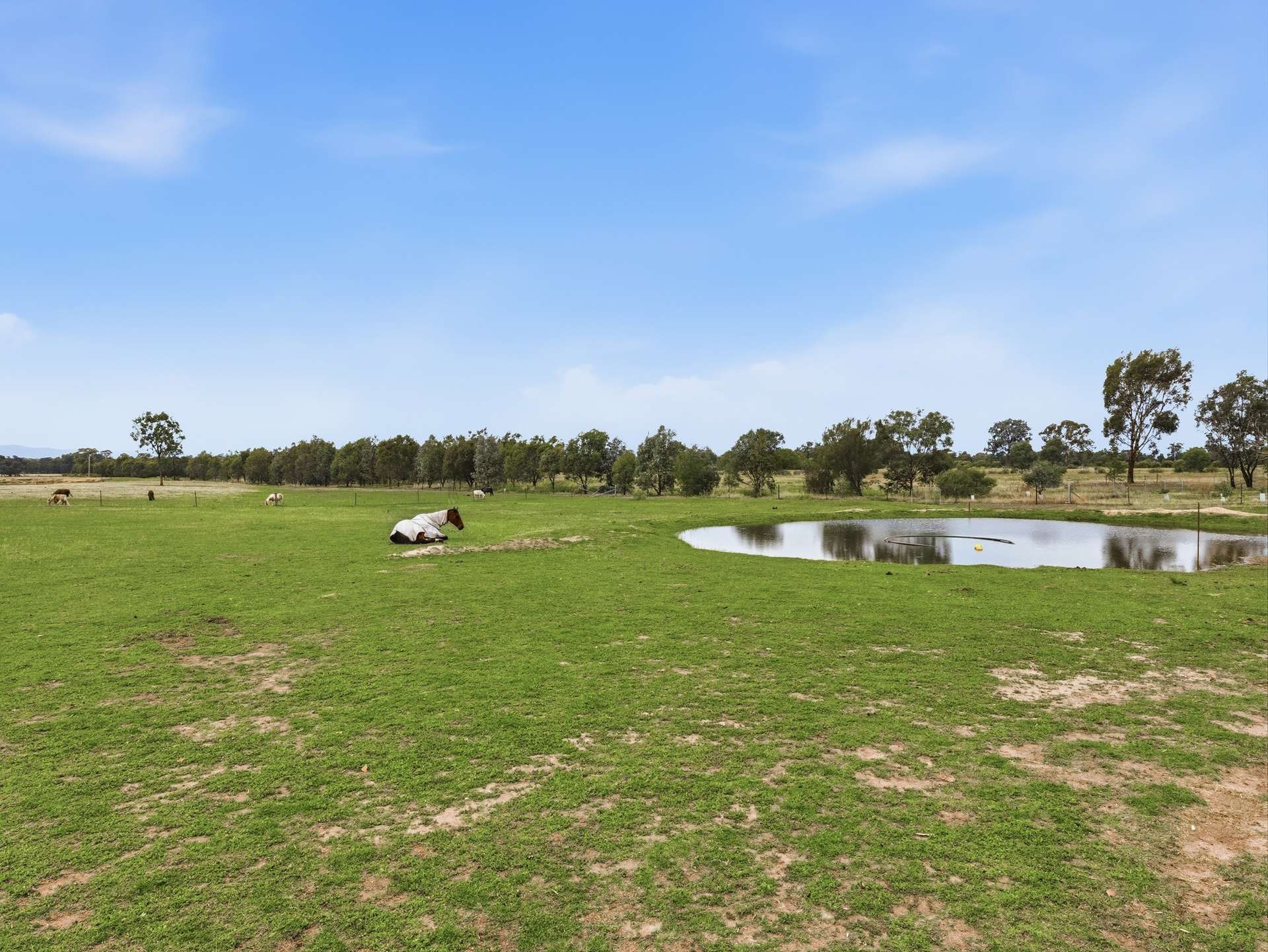 562 Warby Range Road, Wangaratta South For Sale by Farmbuy.com - image 33