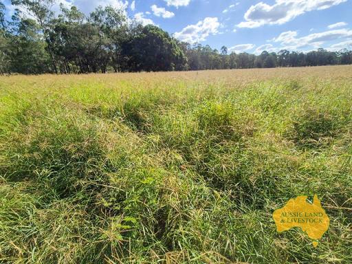 Lot 43 & 50&comma; &period; Kalliwa Road, Mingo QLD 4625