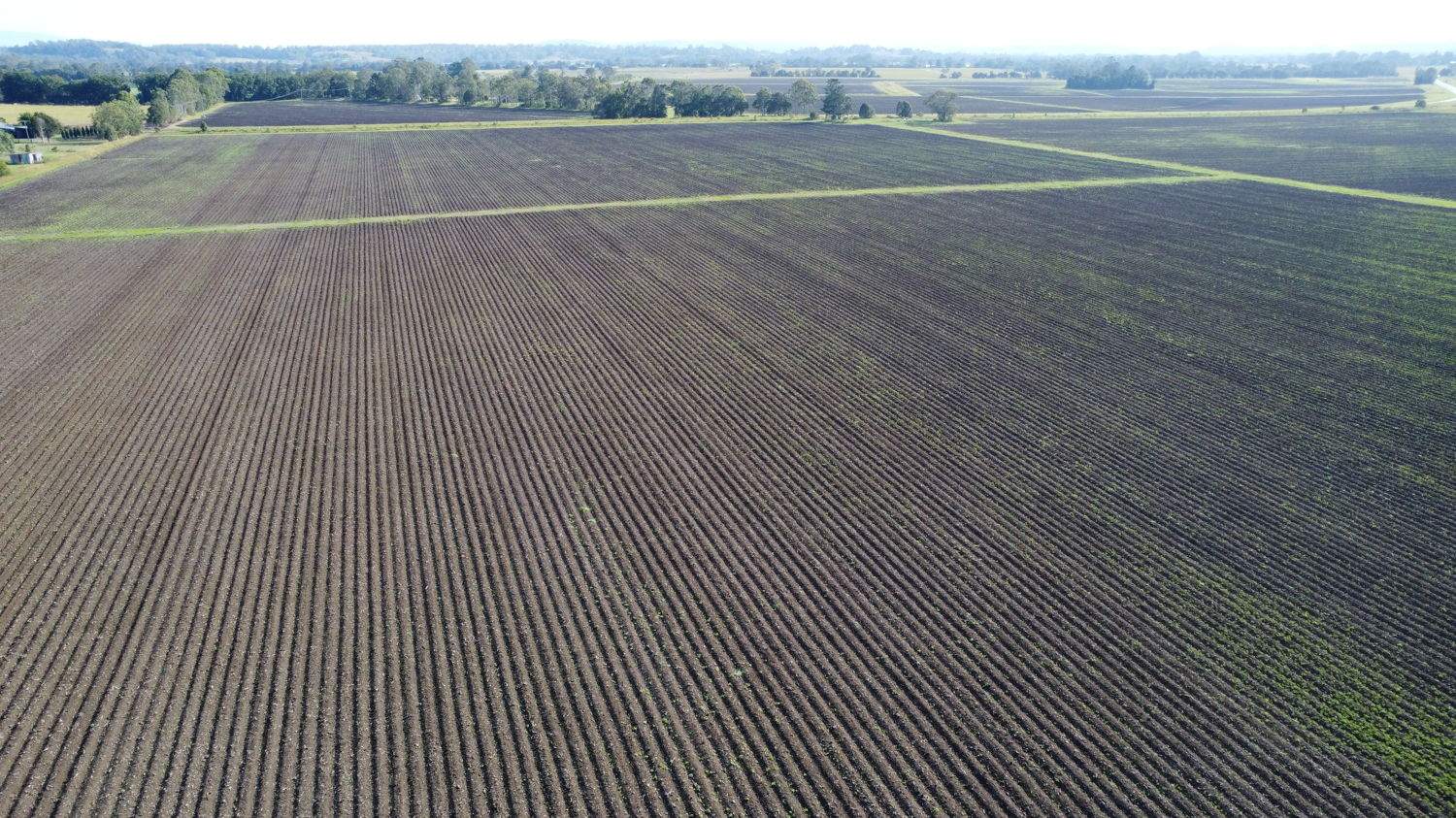 Lot 163 Casino Coraki Road, Codrington For Sale by Farmbuy.com - image 9