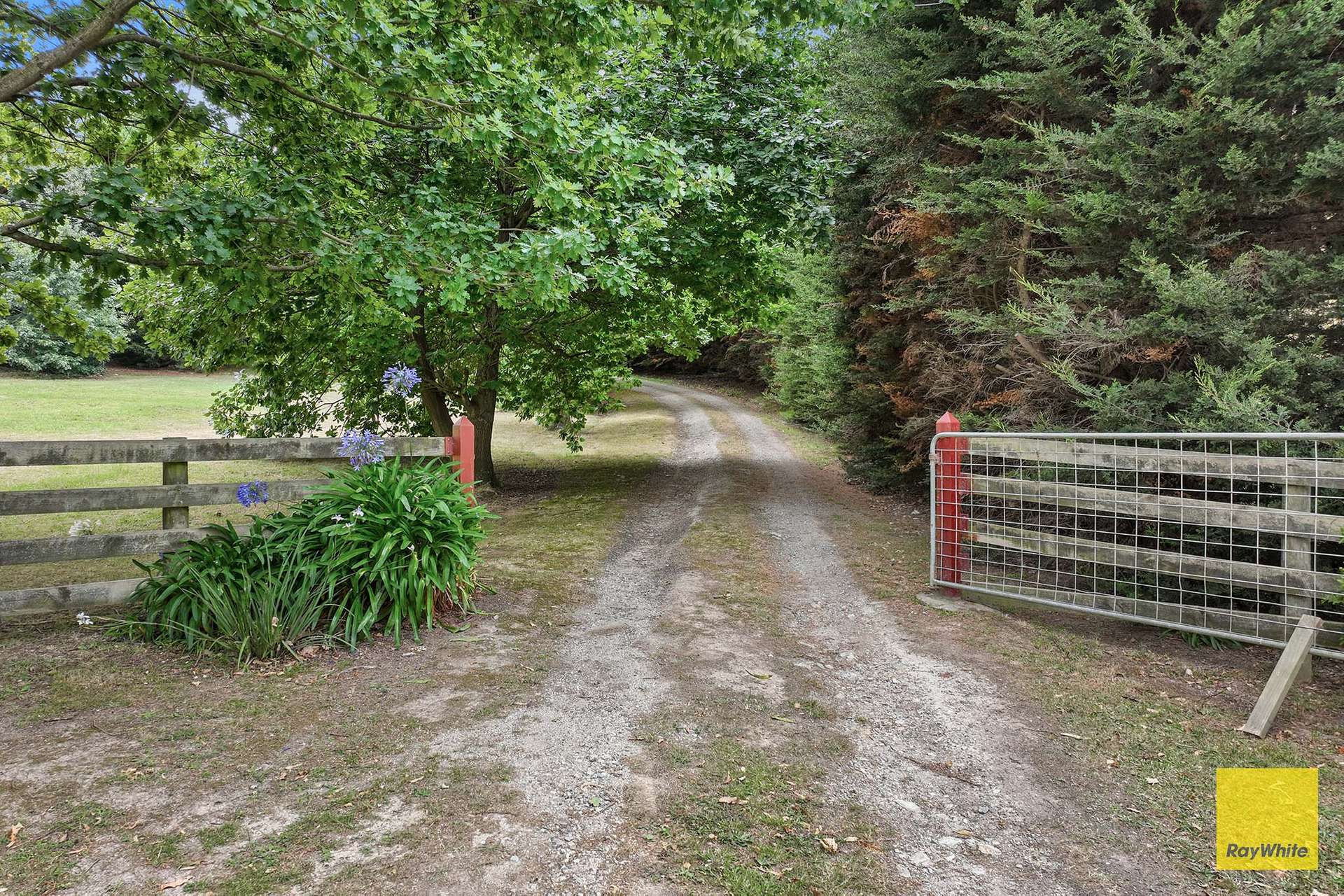 5165 South Gippsland Highway, Toora For Sale by Farmbuy.com - image 4