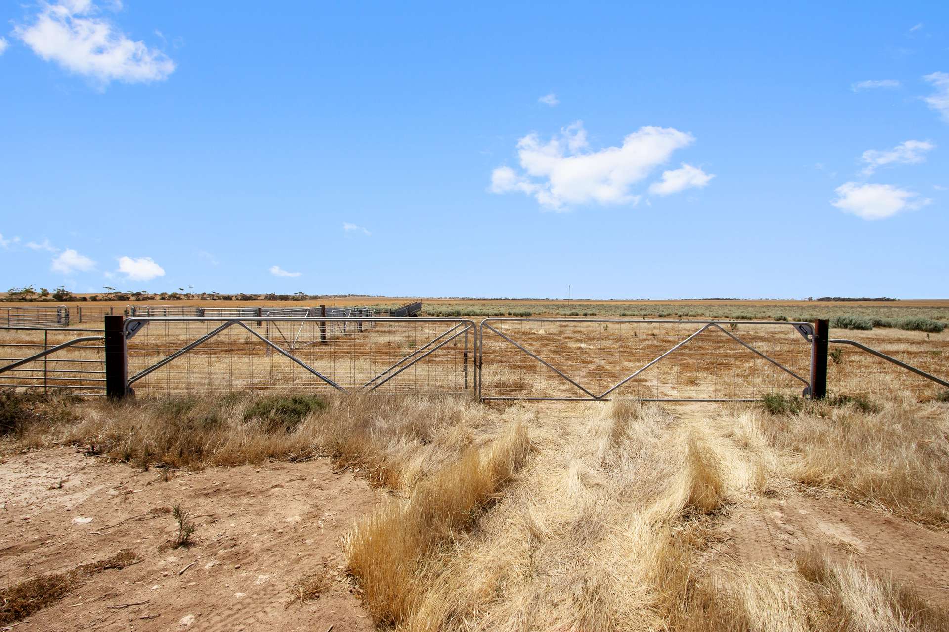 Sections 40 & 9 Kadina - Tickera Road, Kadina For Sale by Farmbuy.com - image 9