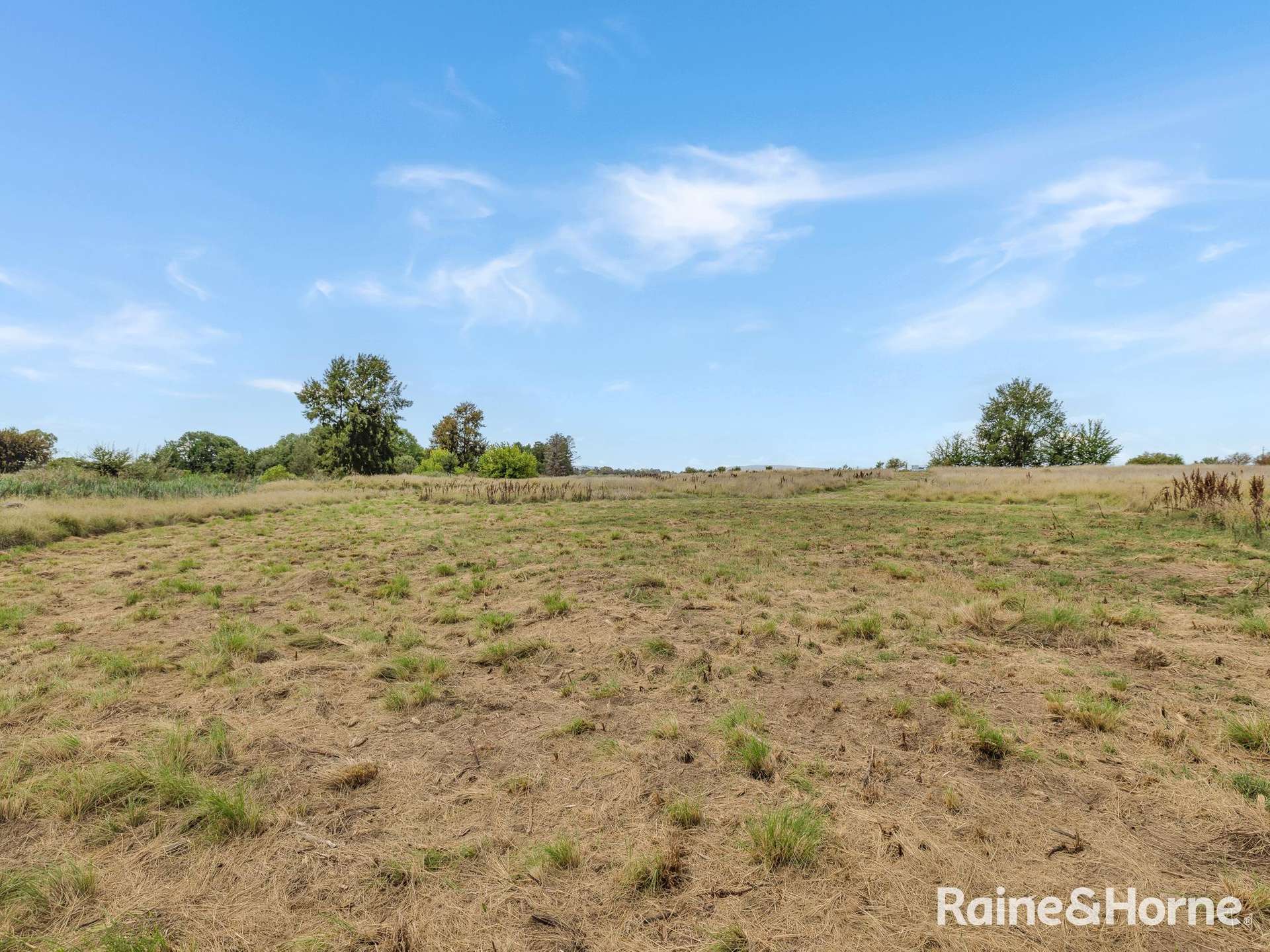 Lot 1 Sydney Road, Kelso For Sale by Farmbuy.com - image 6