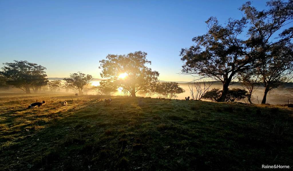 242 Fashions Mount Road Mumbil Via, Wellington NSW 2820