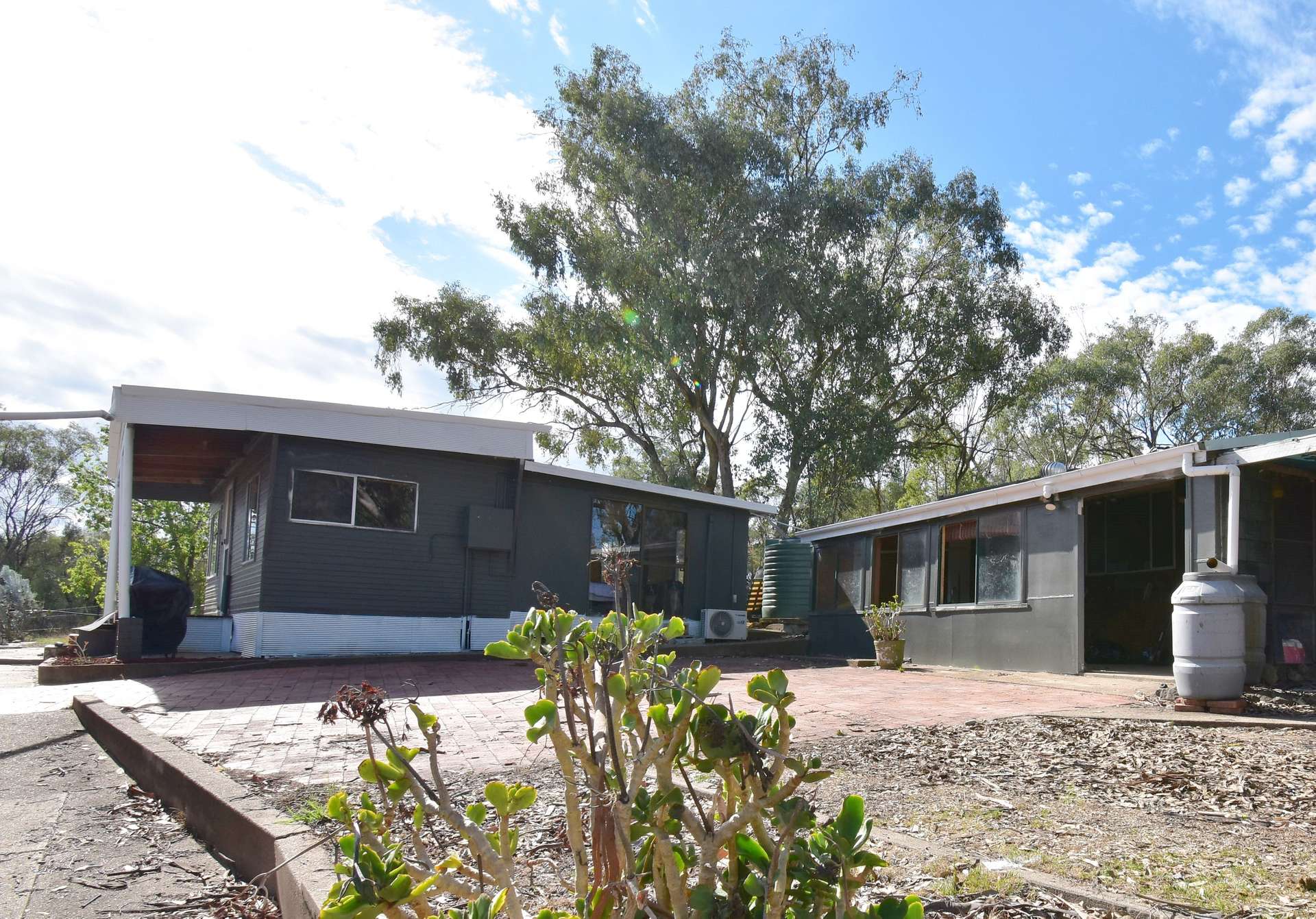 242 Fashions Mount Road Mumbil Via, Wellington Auction by Farmbuy.com - image 15