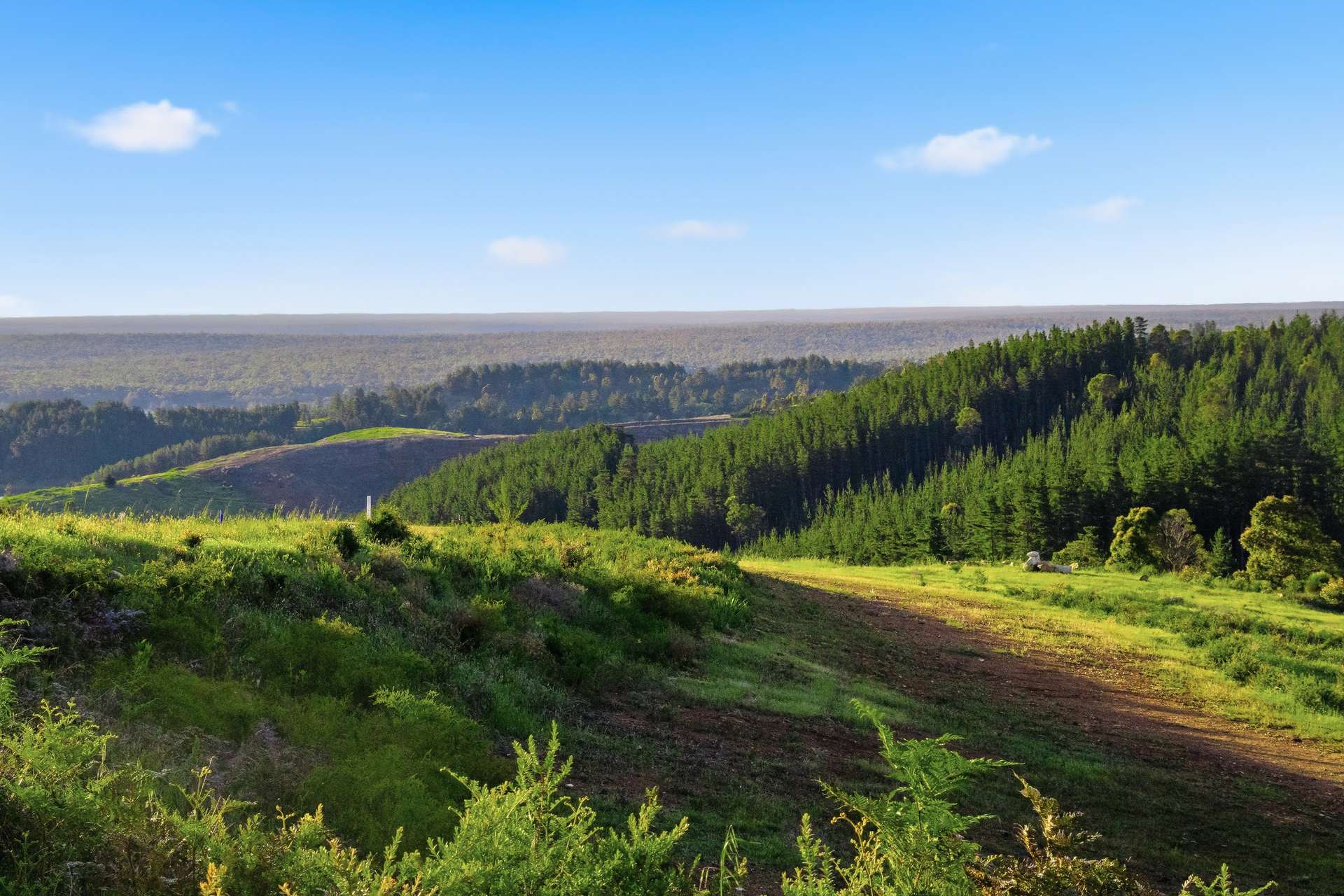 7953 Brockman Highway, Nannup For Sale by Farmbuy.com - image 17