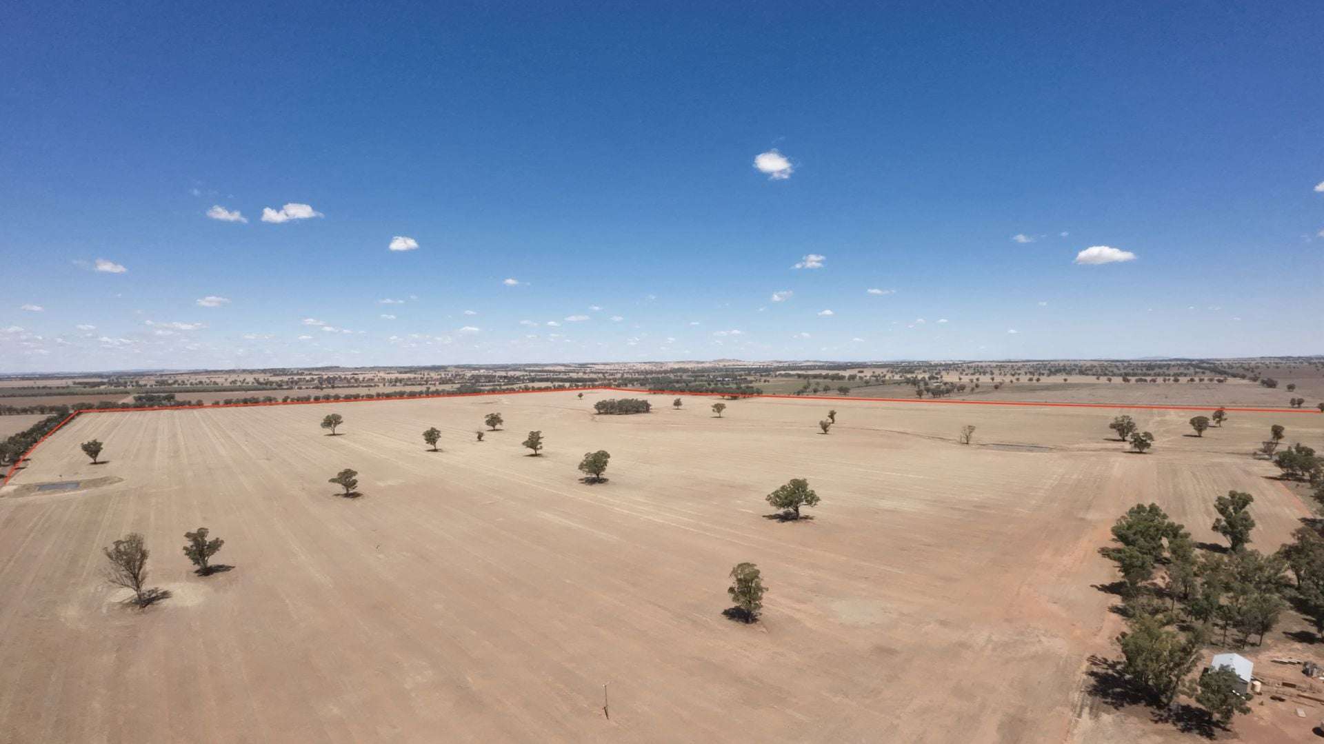 159 Noakes Road, Bribbaree For Sale by Farmbuy.com - image 2