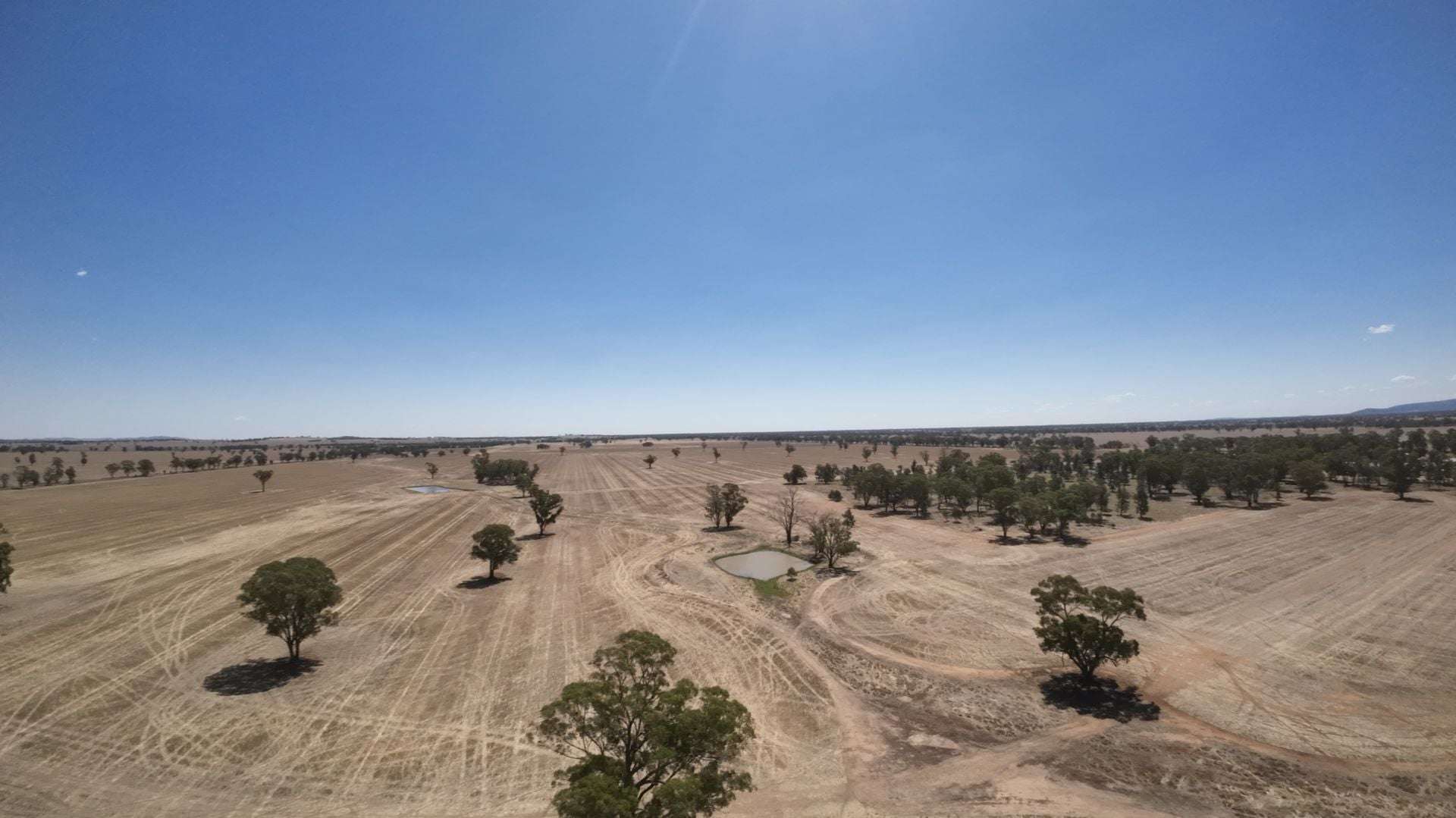 159 Noakes Road, Bribbaree For Sale by Farmbuy.com - image 6